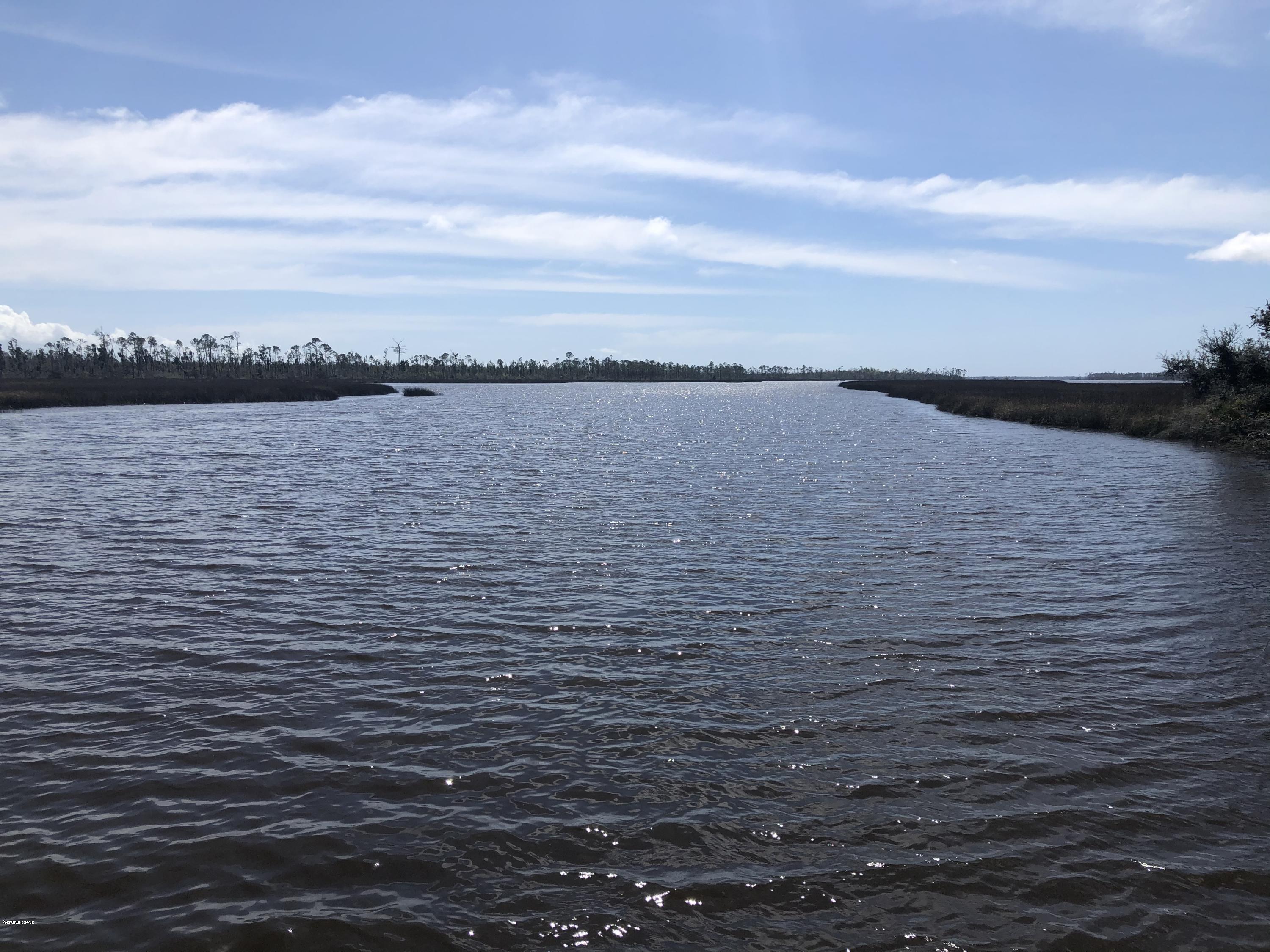 Listing photo id 11 for 0 Laura Bluff Road