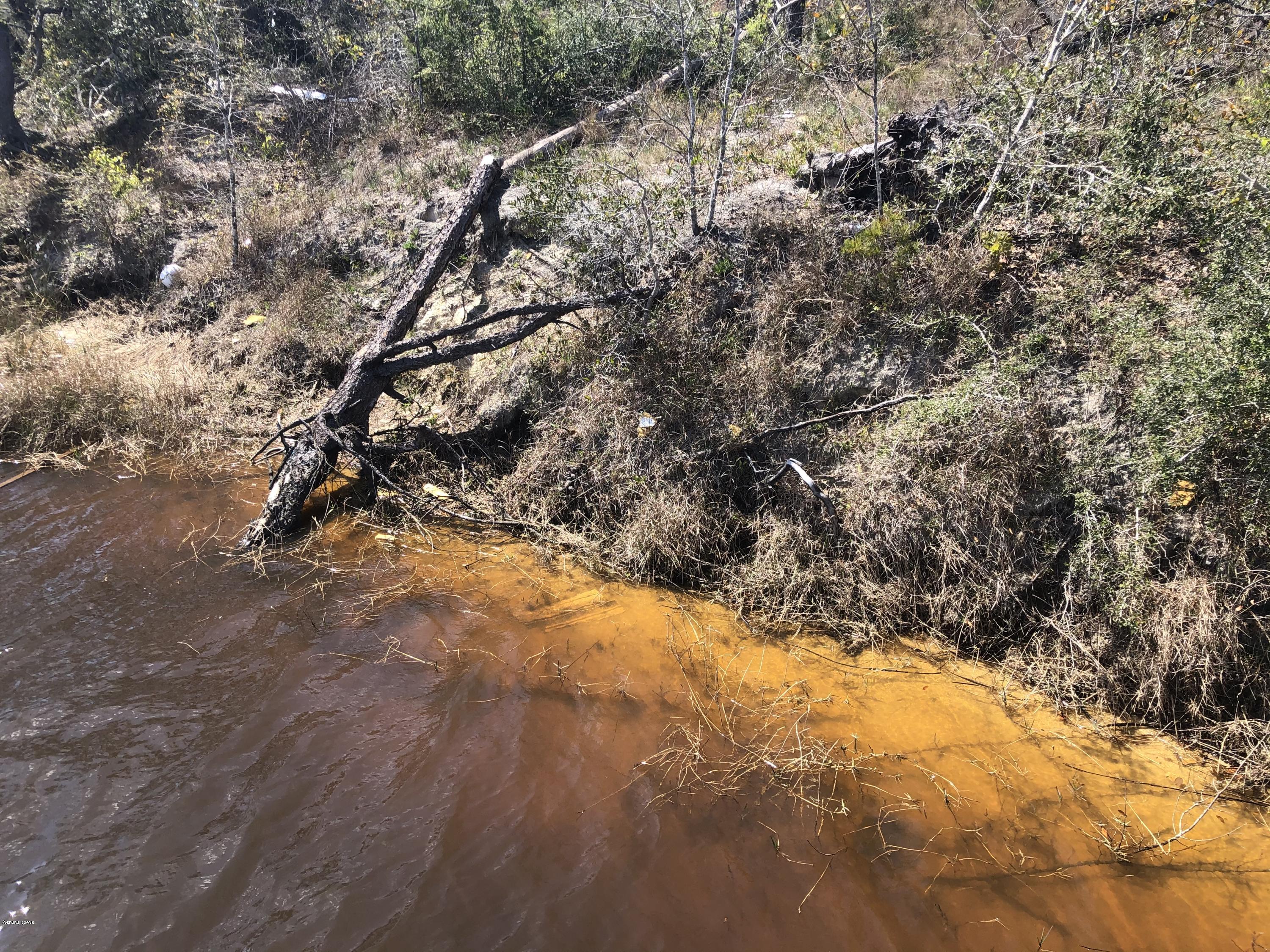 Listing photo id 18 for 0 Laura Bluff Road