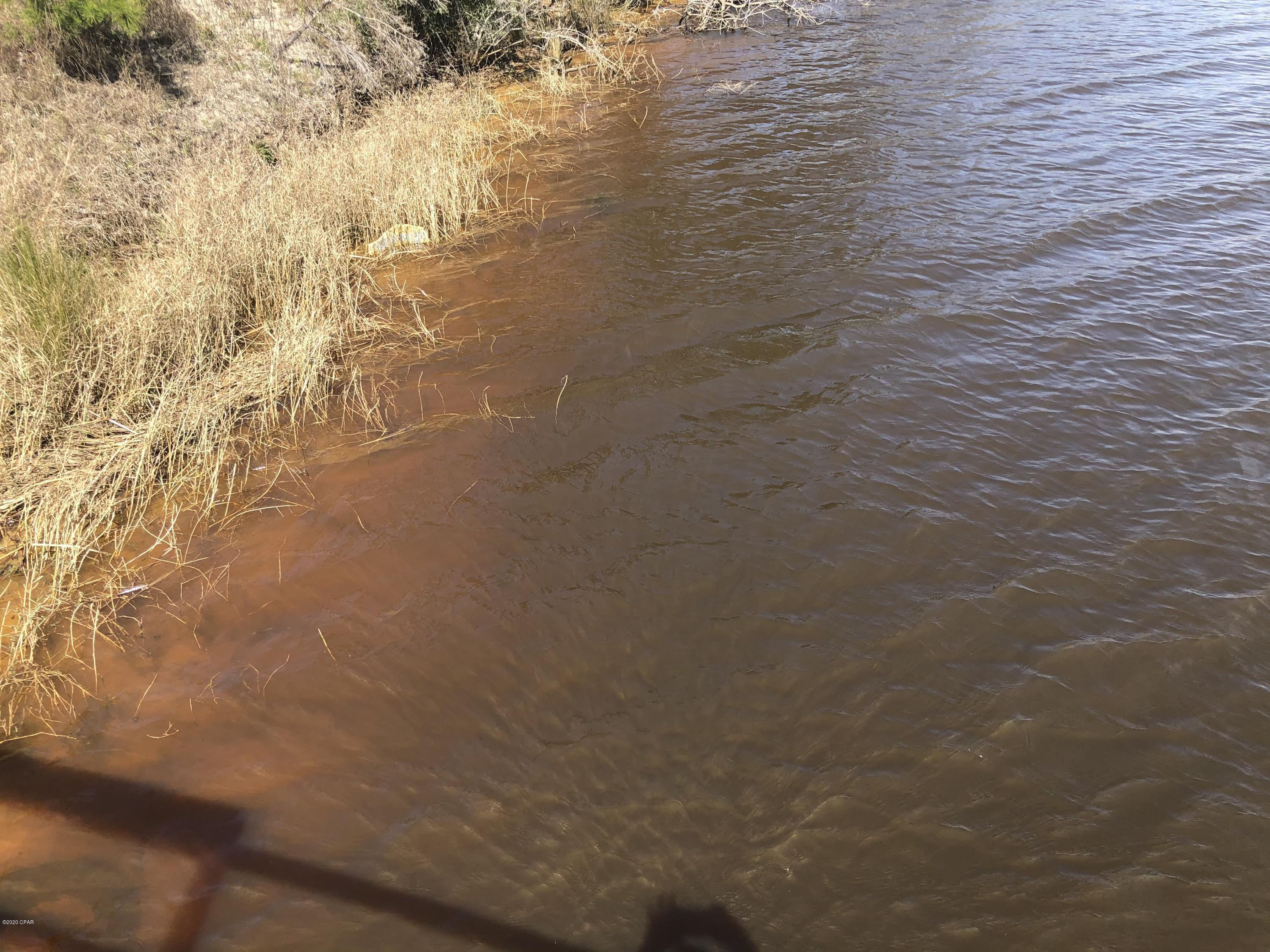 Listing photo id 20 for 0 Laura Bluff Road