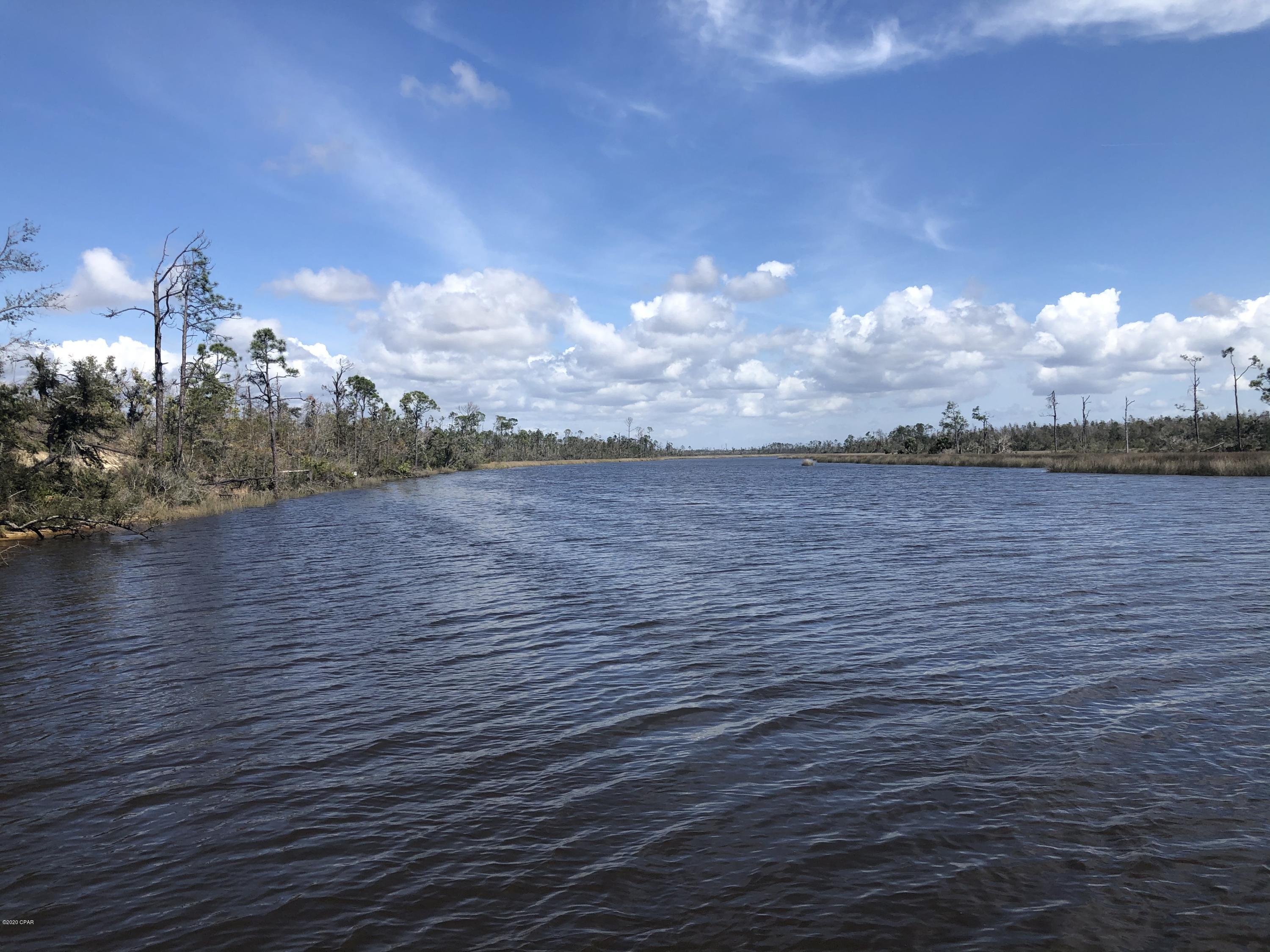 Listing photo id 22 for 0 Laura Bluff Road