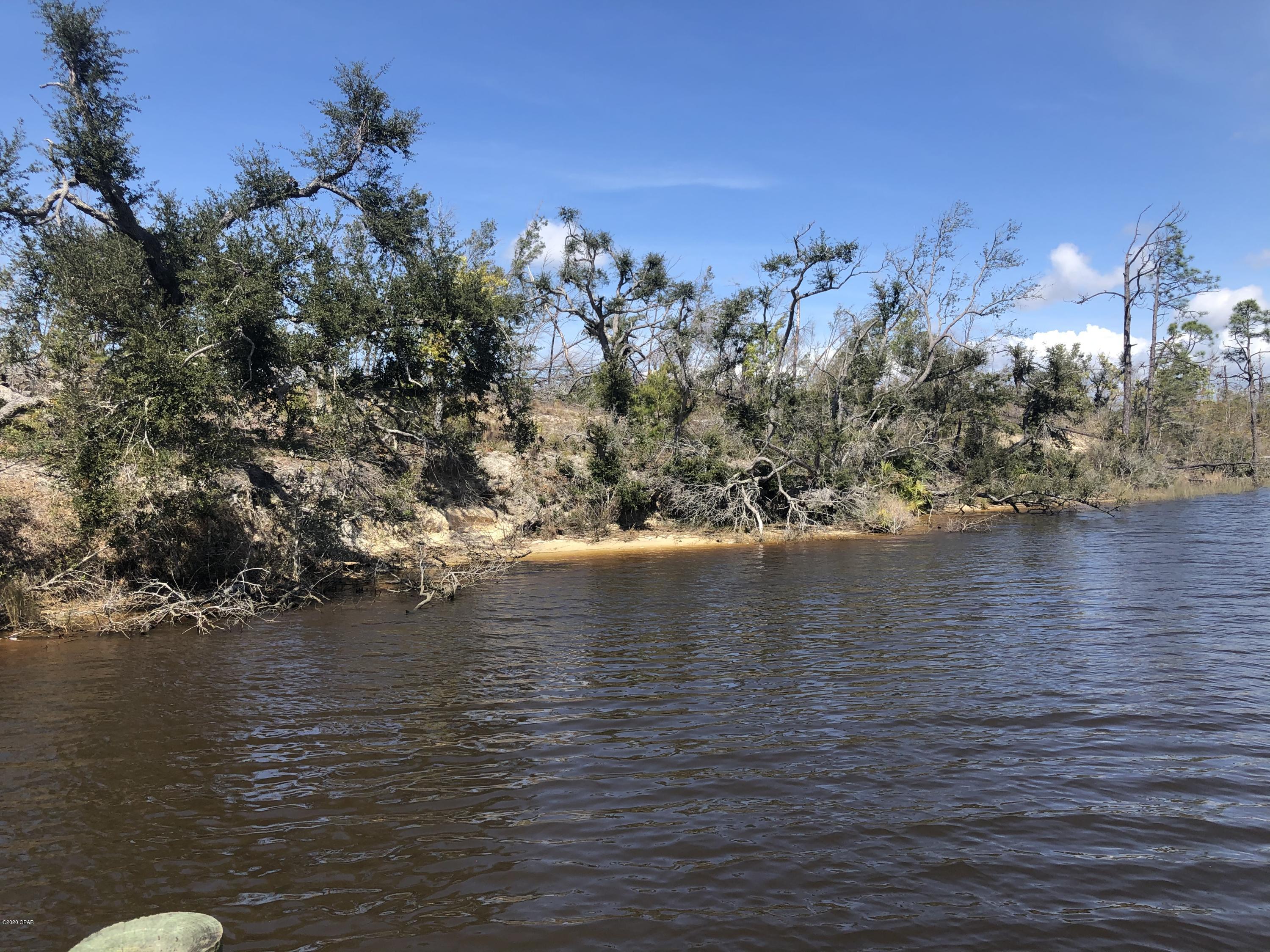 Listing photo id 24 for 0 Laura Bluff Road