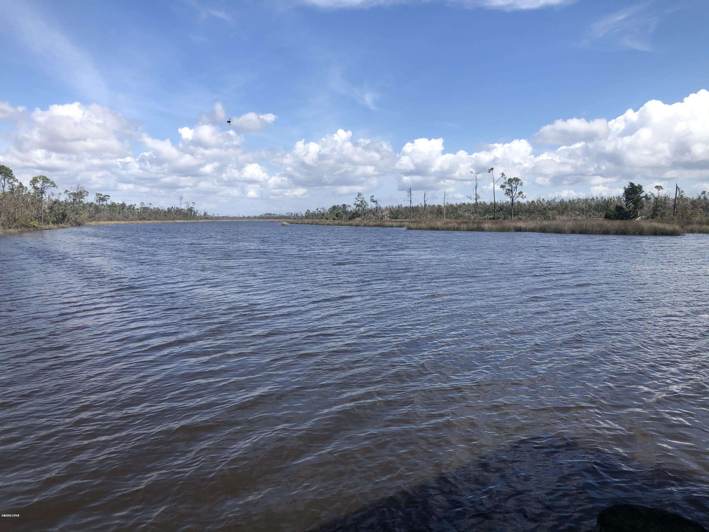 Listing photo id 25 for 0 Laura Bluff Road