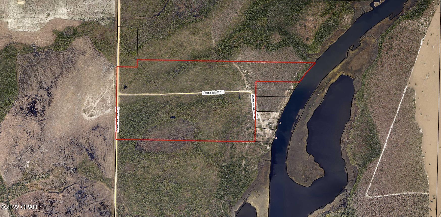 Listing photo id 30 for 0 Laura Bluff Road