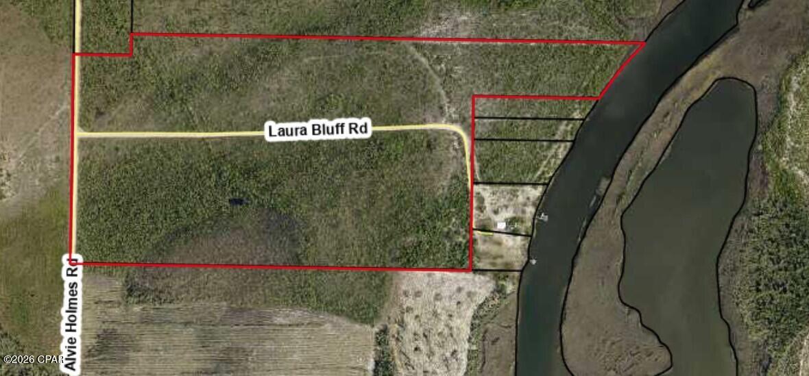 Listing photo id 34 for 0 Laura Bluff Road