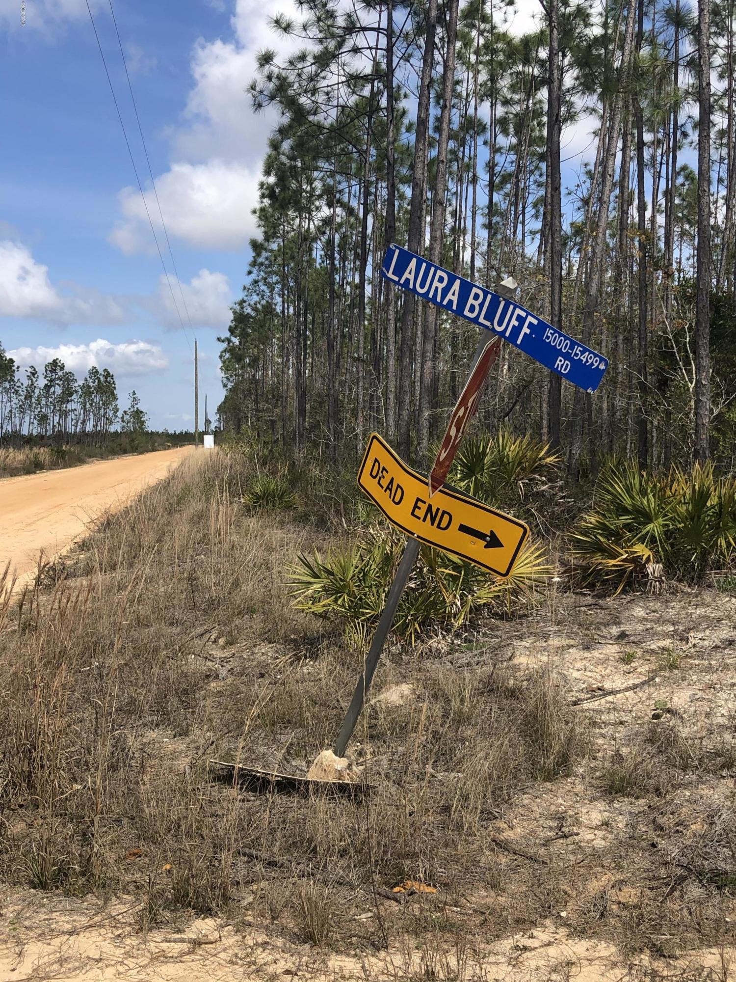 Image 4 For 0 Laura Bluff Road