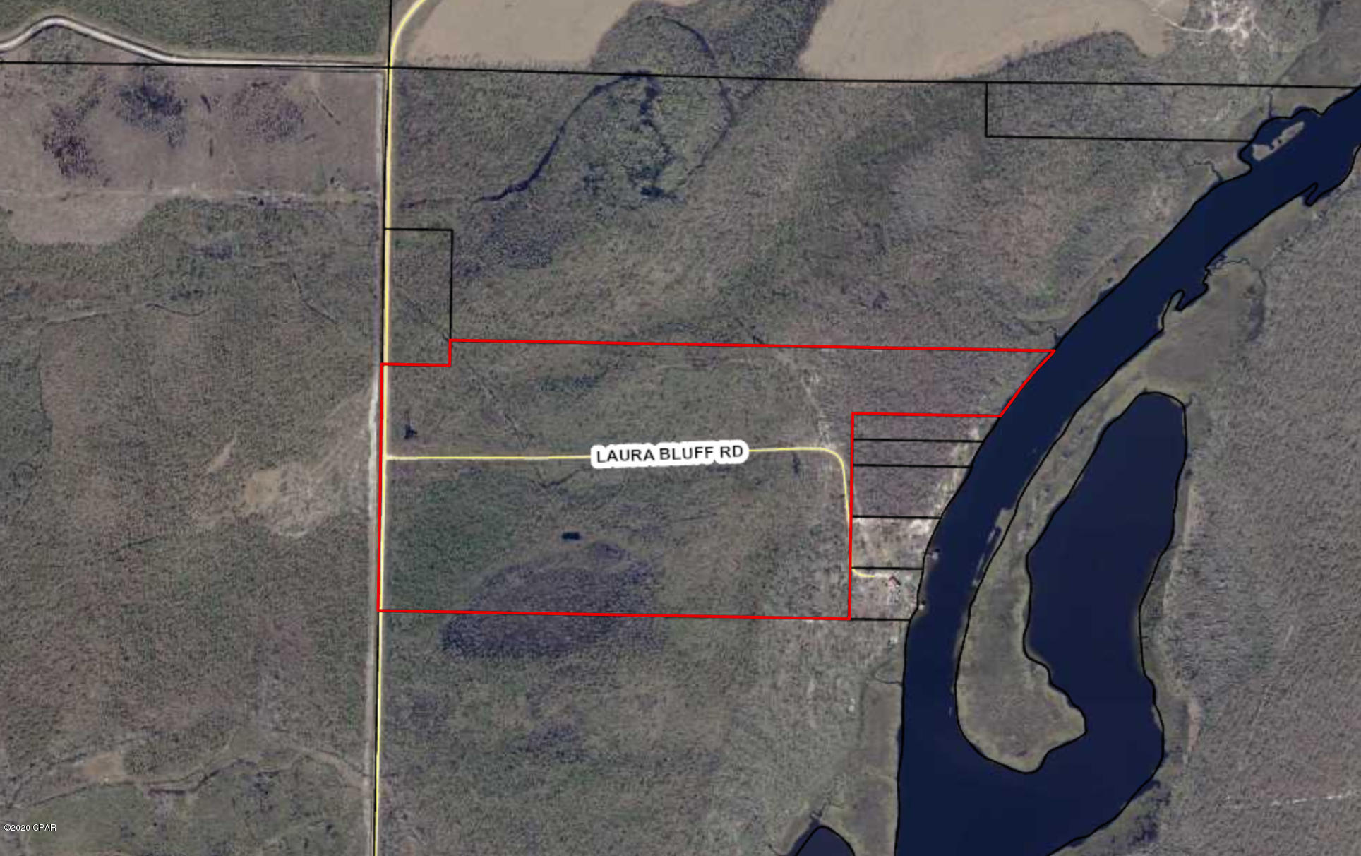 Listing photo id 5 for 0 Laura Bluff Road