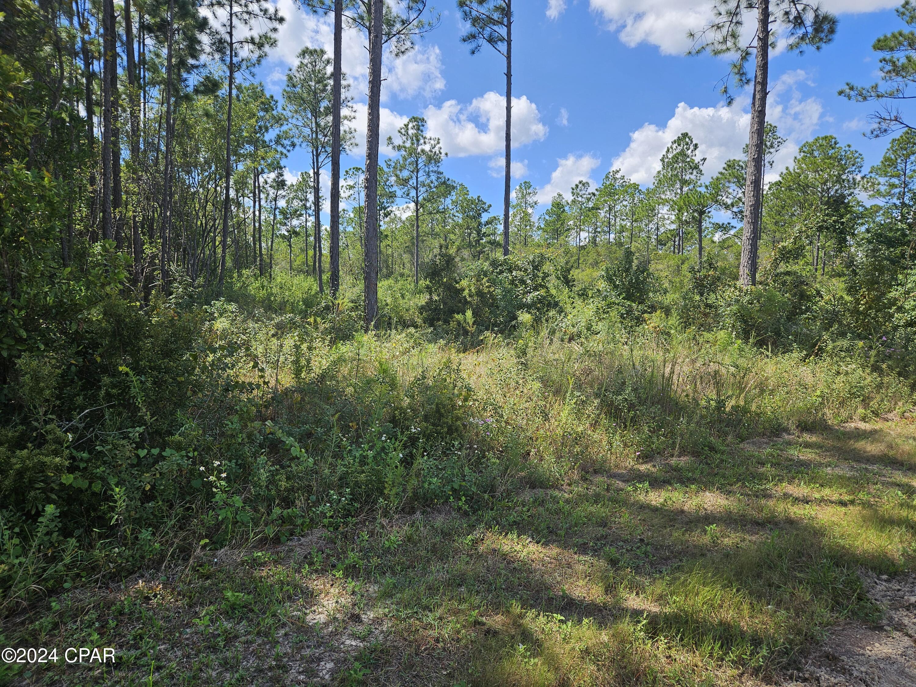 Listing photo id 3 for 13450 Leisure Lane