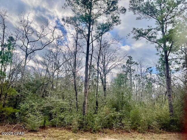 Details for Lot 9 Red Road, Marianna, FL 32448