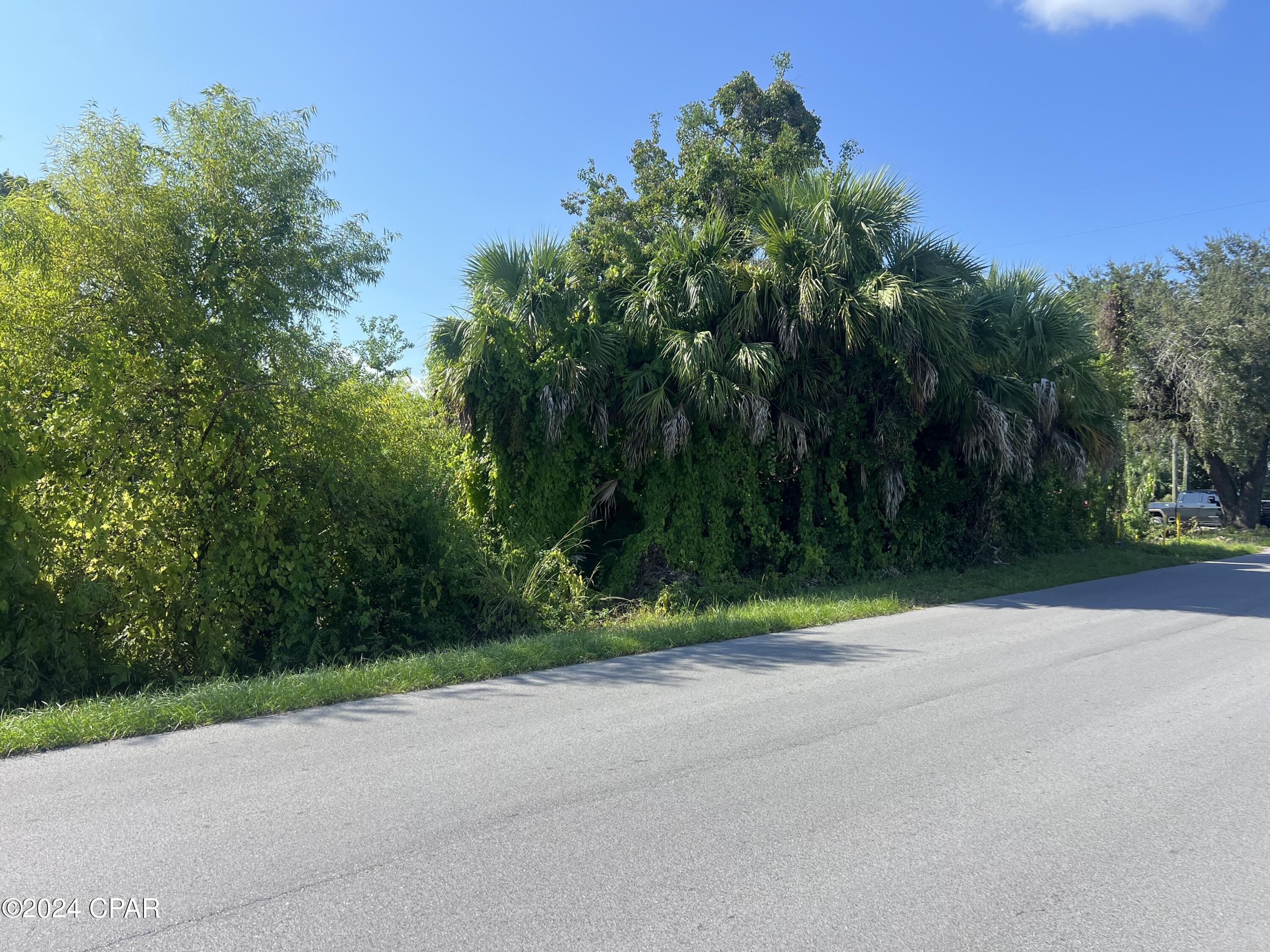 Image 11 For 259 Arlington Drive