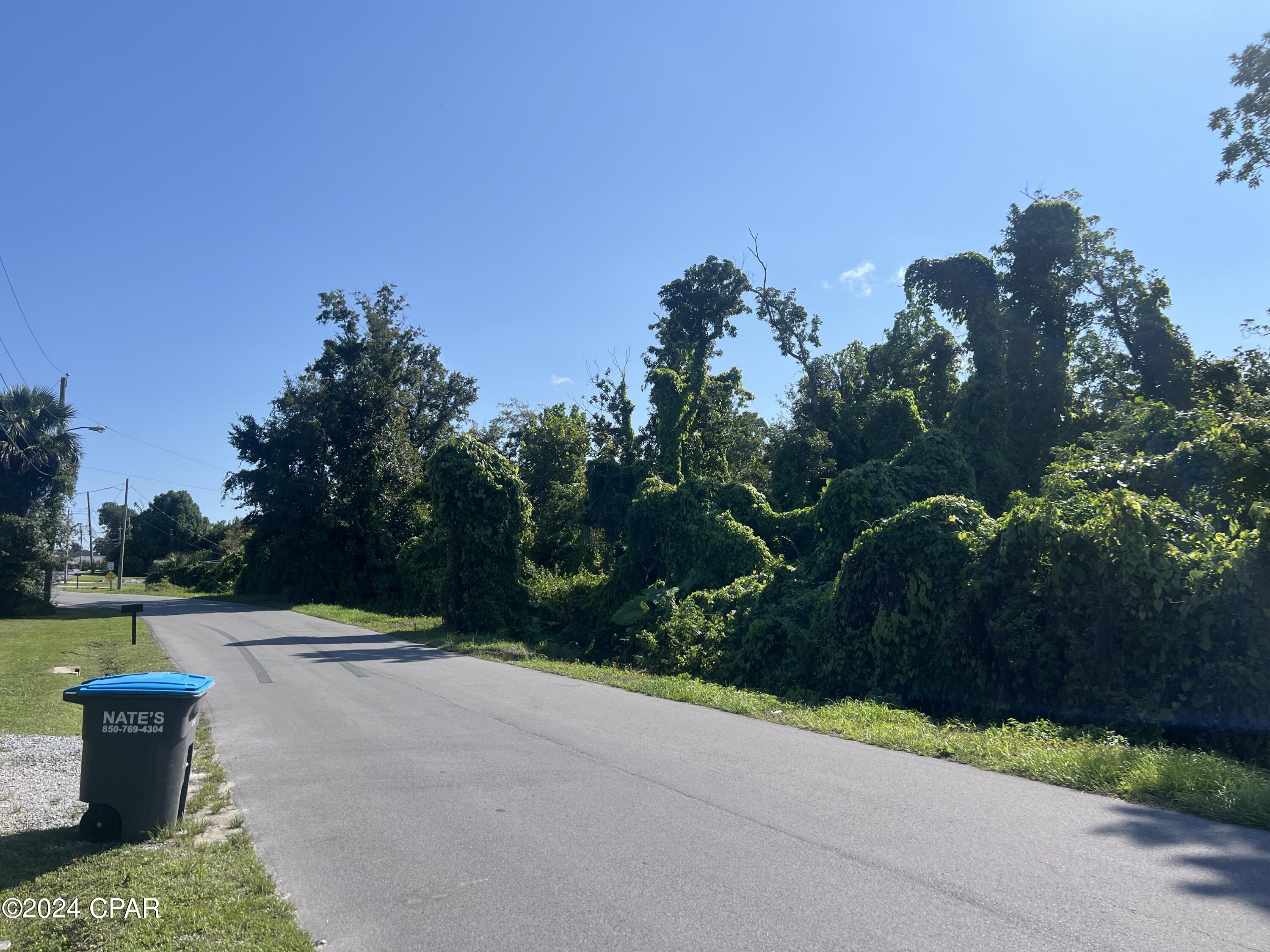 Image 12 For 259 Arlington Drive