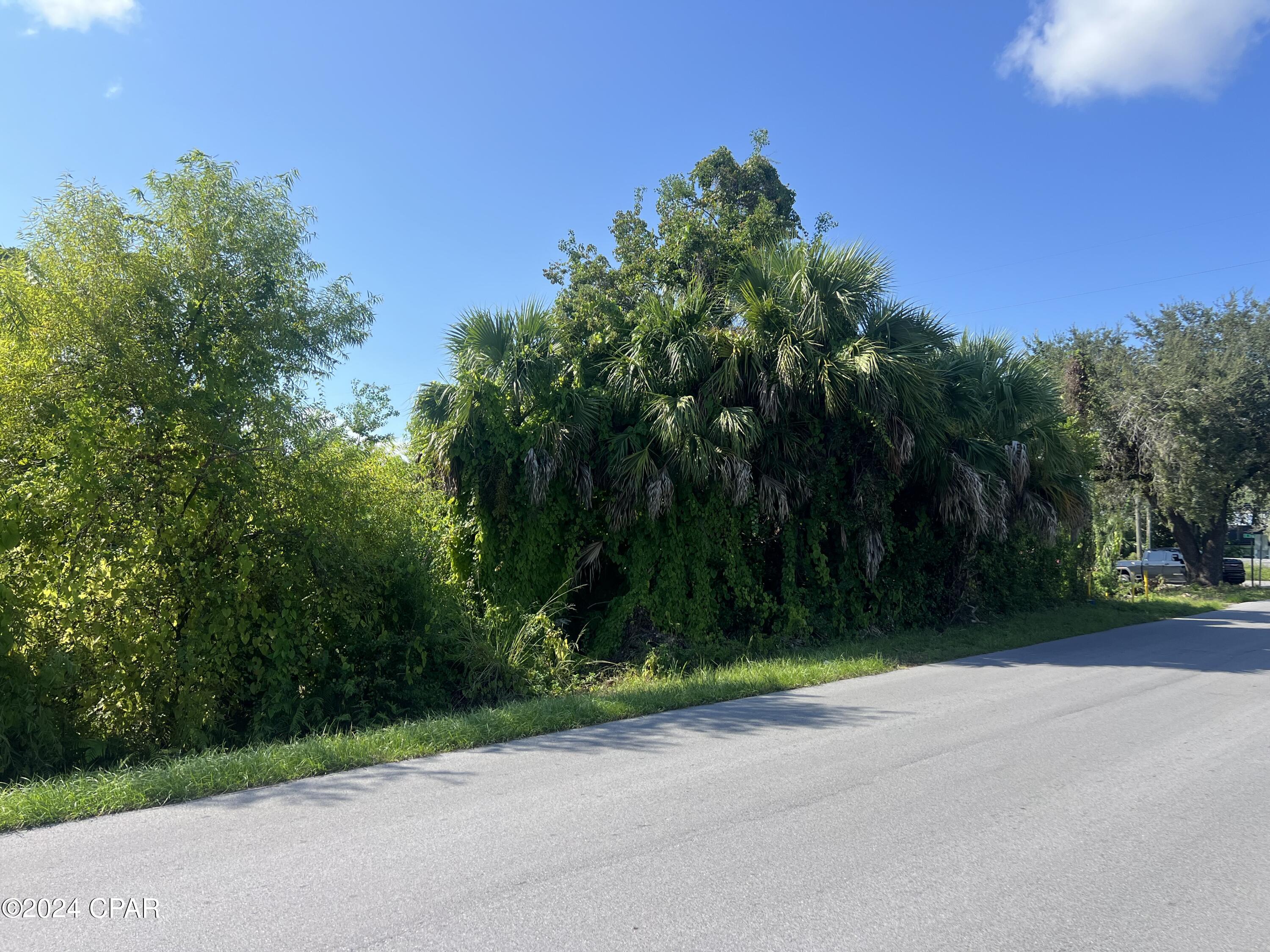 Image 13 For 259 Arlington Drive