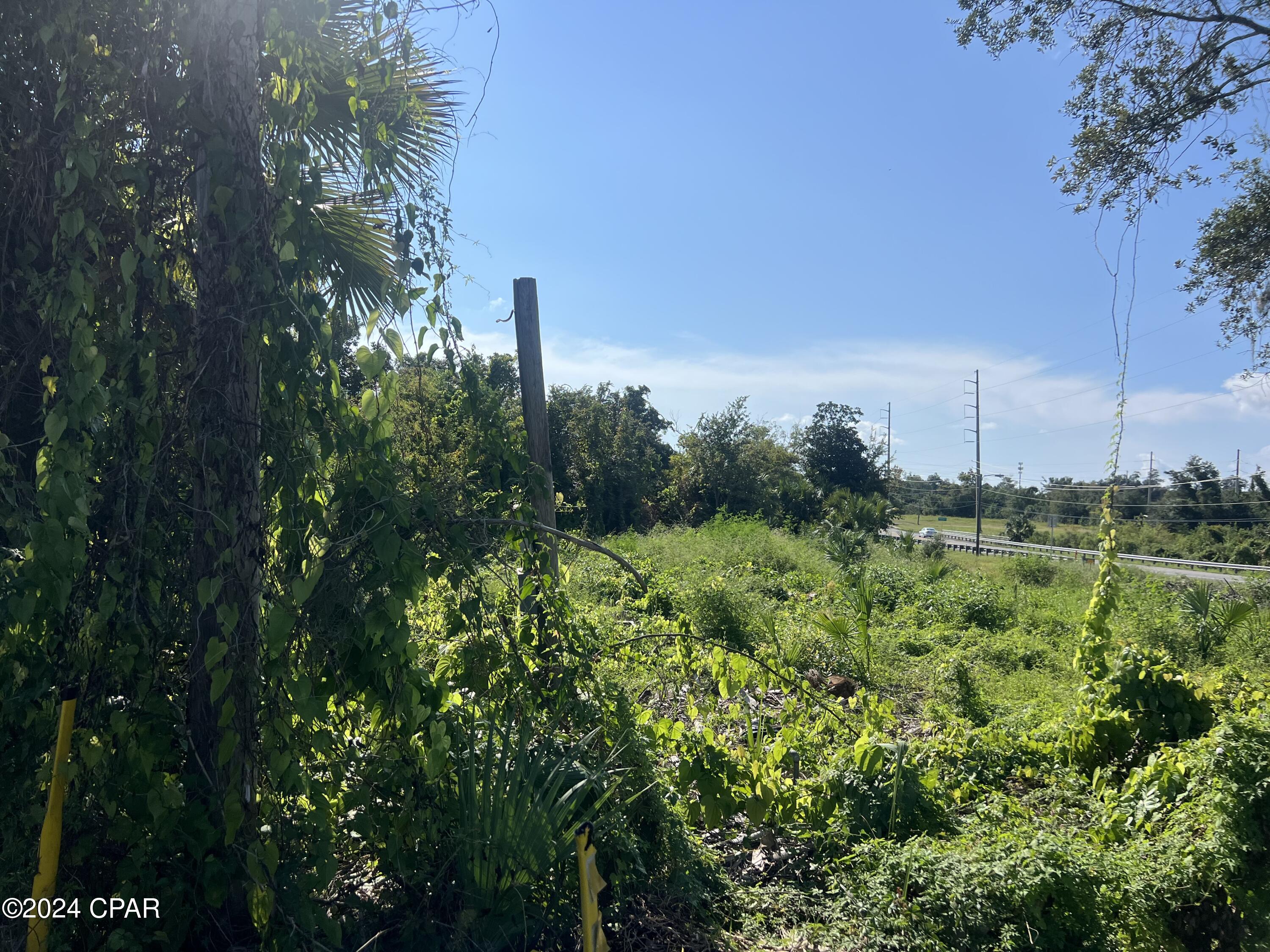 Image 14 For 259 Arlington Drive