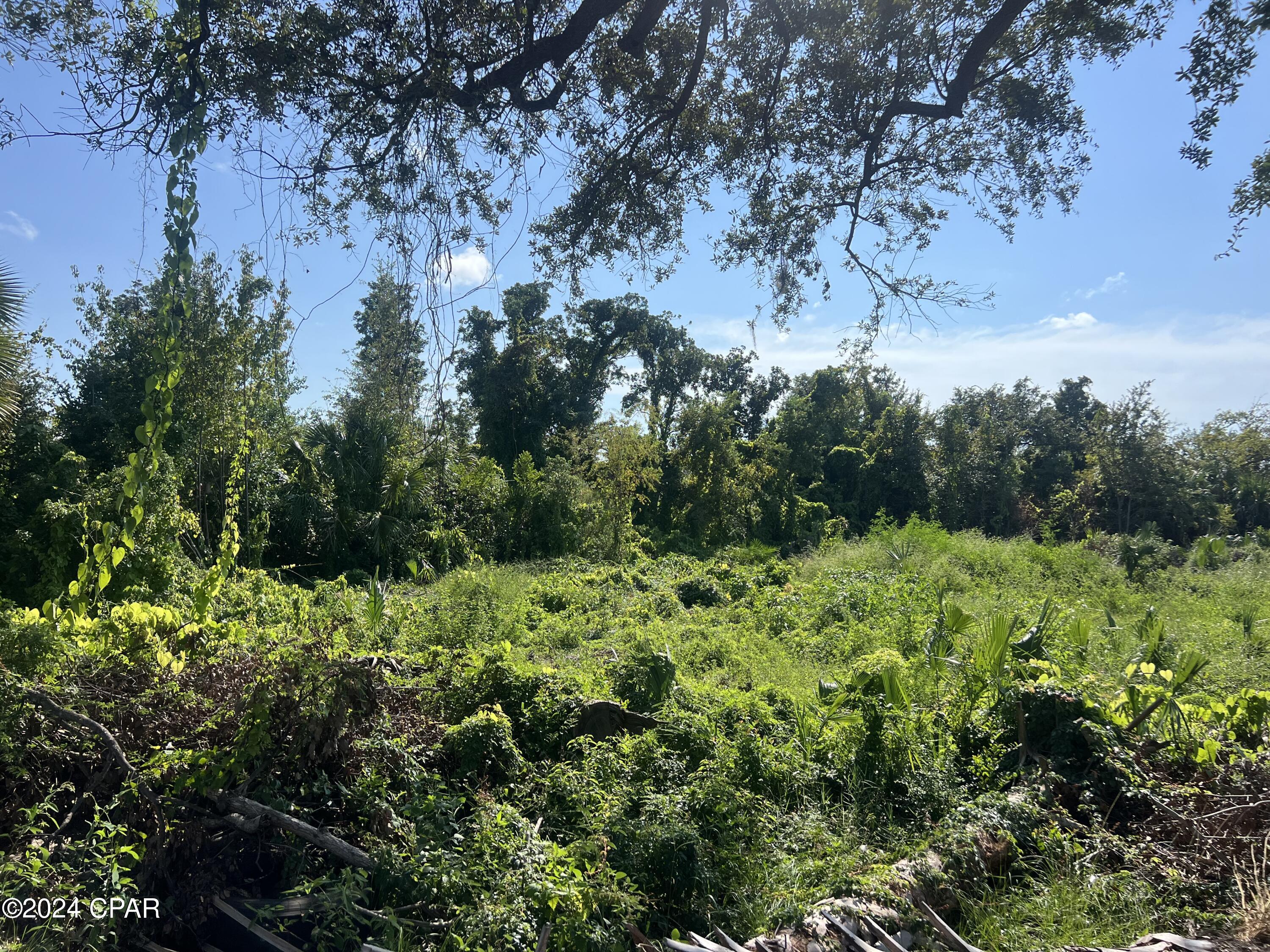 Image 16 For 259 Arlington Drive