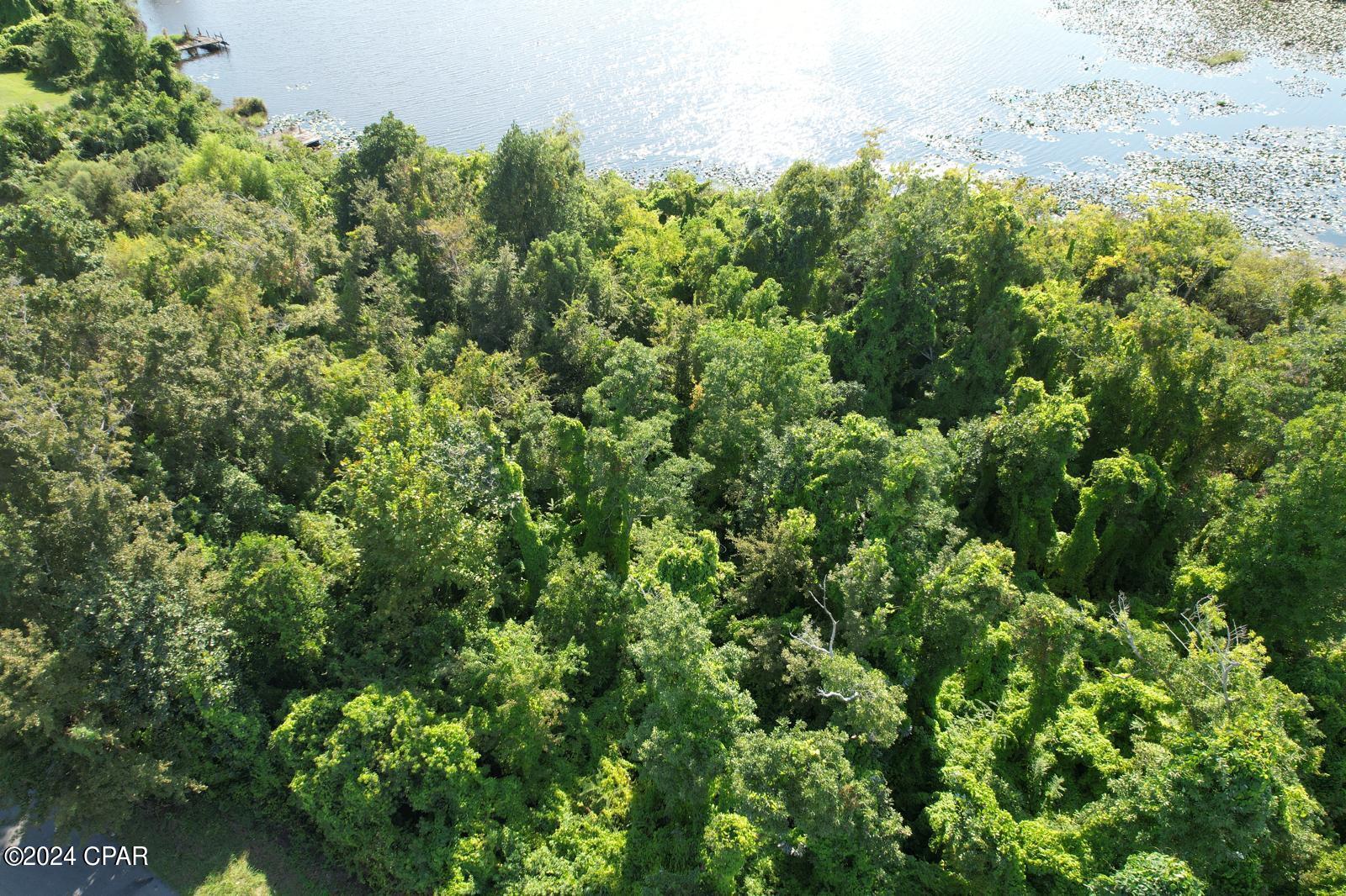 Image 3 For 259 Arlington Drive