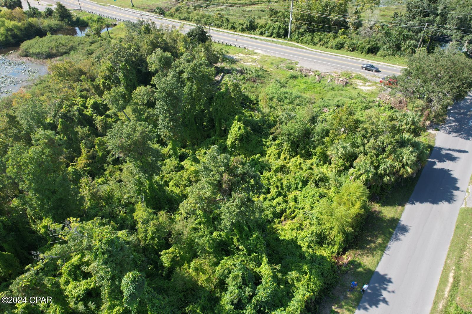 Image 6 For 259 Arlington Drive