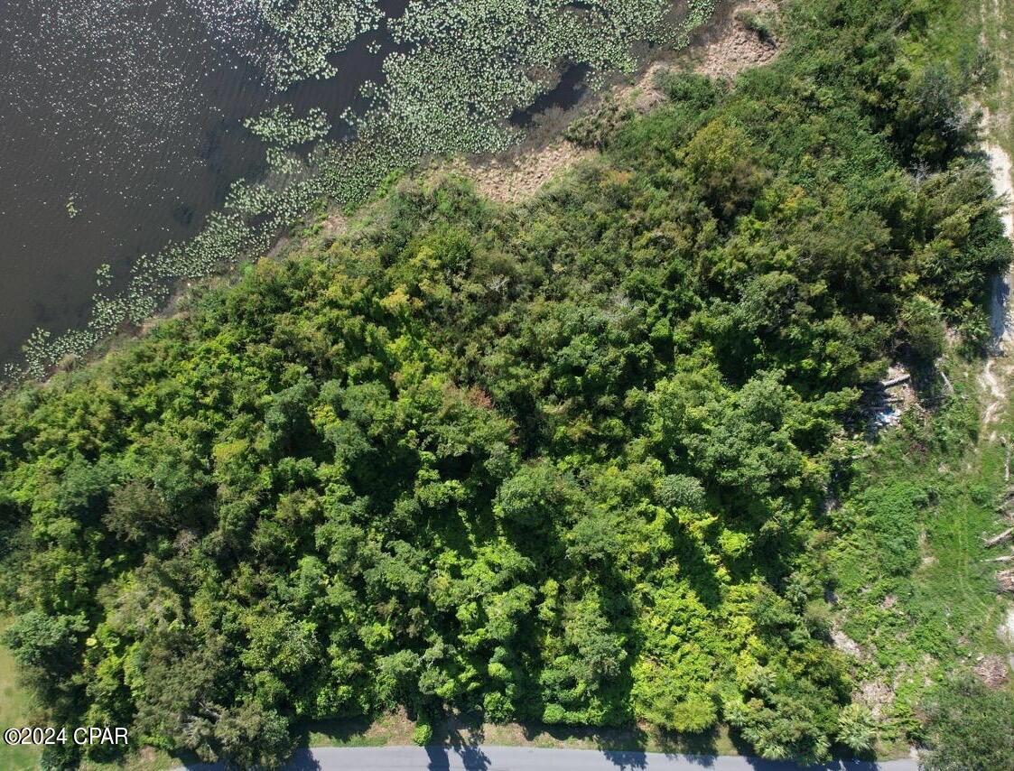 Image 8 For 259 Arlington Drive