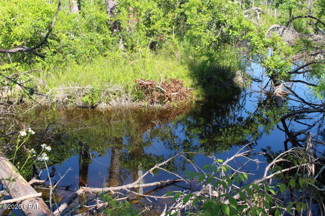 Image 78 For 10012 Windsong Way