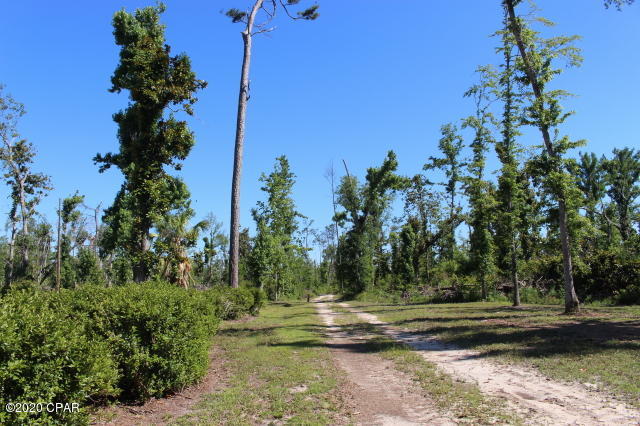 Image 61 For 10012 Windsong Way