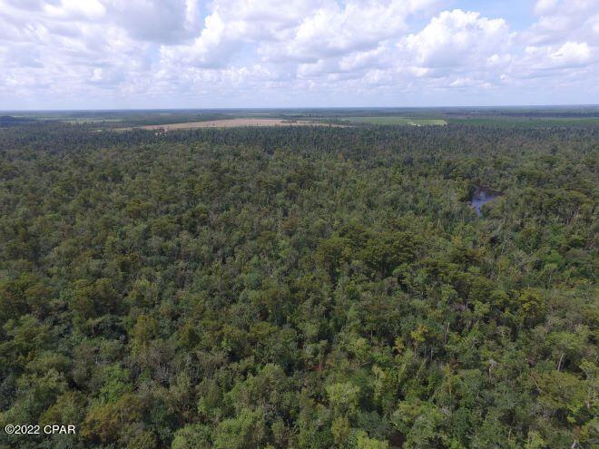 Image 73 For 10012 Windsong Way