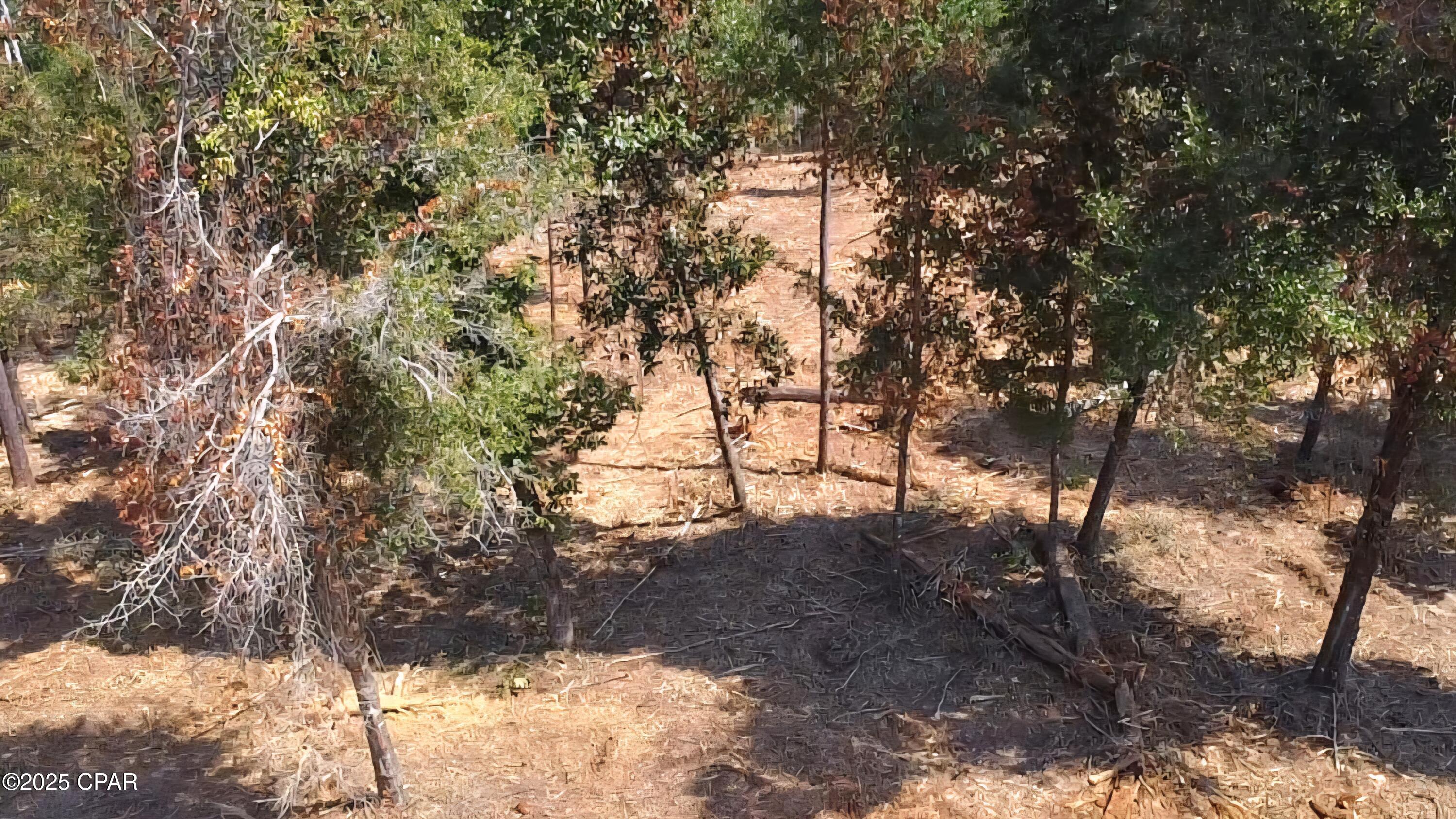 Image 6 For 0 Grand Quiviera Circle