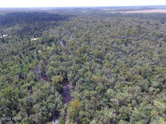 Image 77 For 10012 Windsong Way