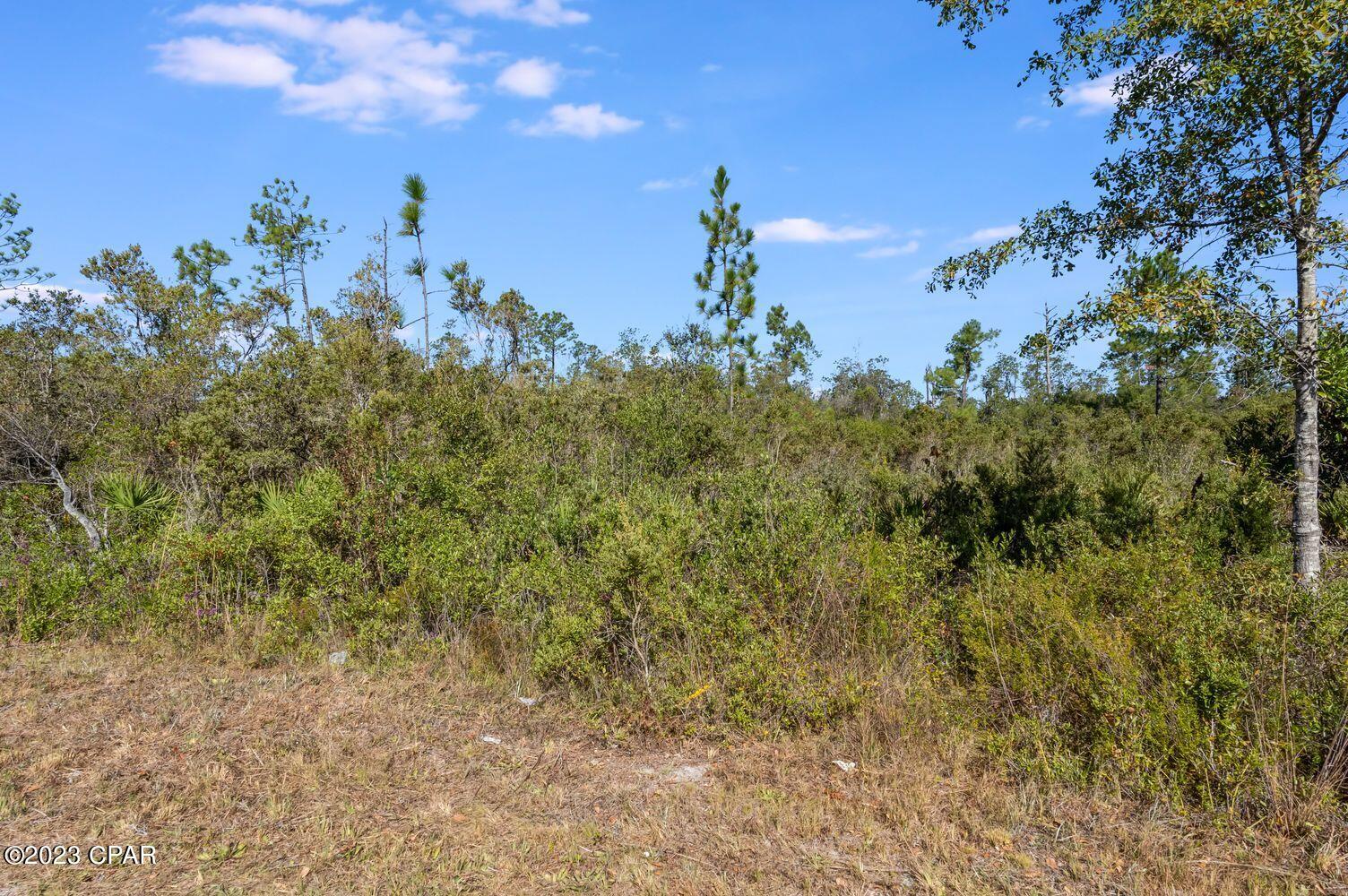 Image 10 For 11709 Poinsettia Street