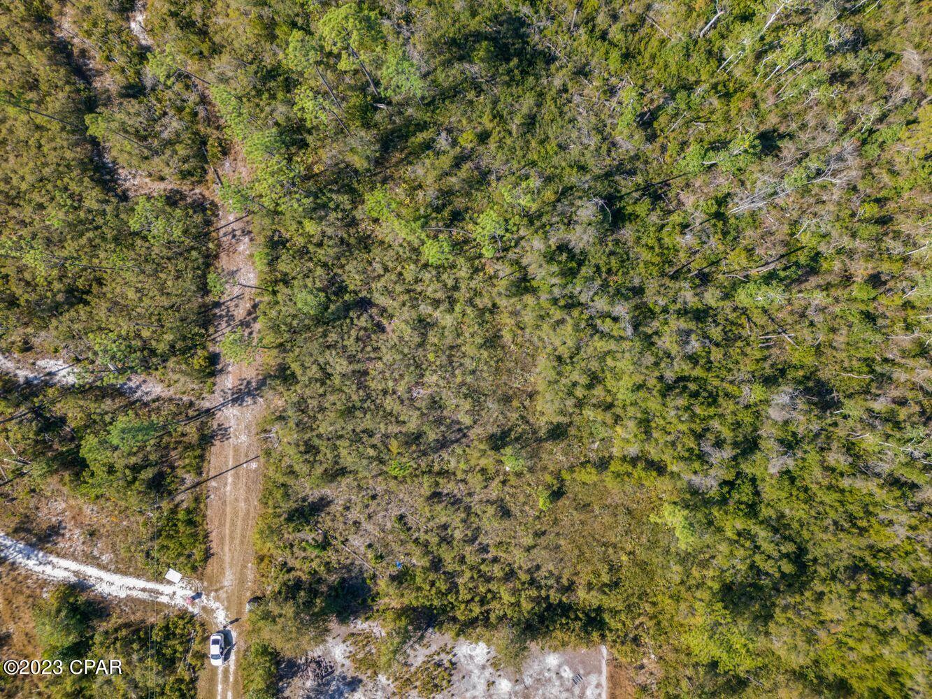 Image 14 For 11709 Poinsettia Street