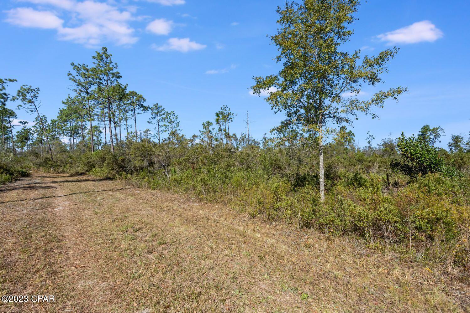 Image 4 For 11709 Poinsettia Street