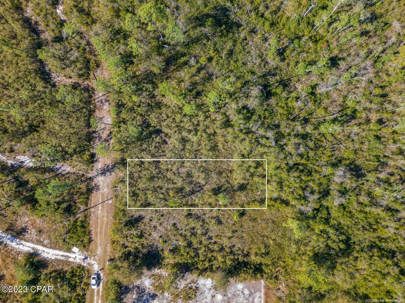 Image 6 For 11709 Poinsettia Street