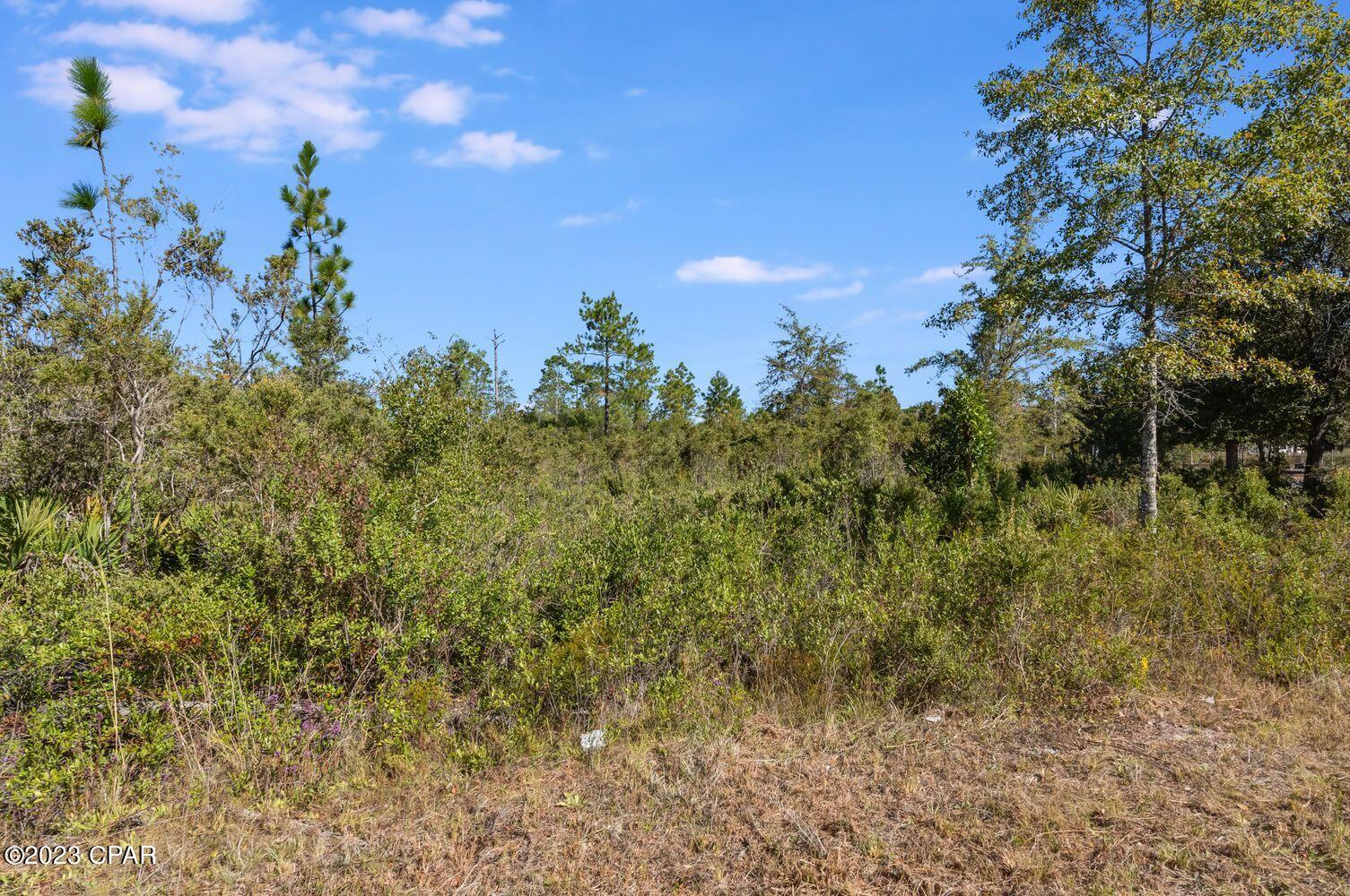 Image 8 For 11709 Poinsettia Street