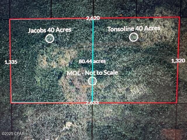 Details for 0 Camp Head Road, Altha, FL 32421
