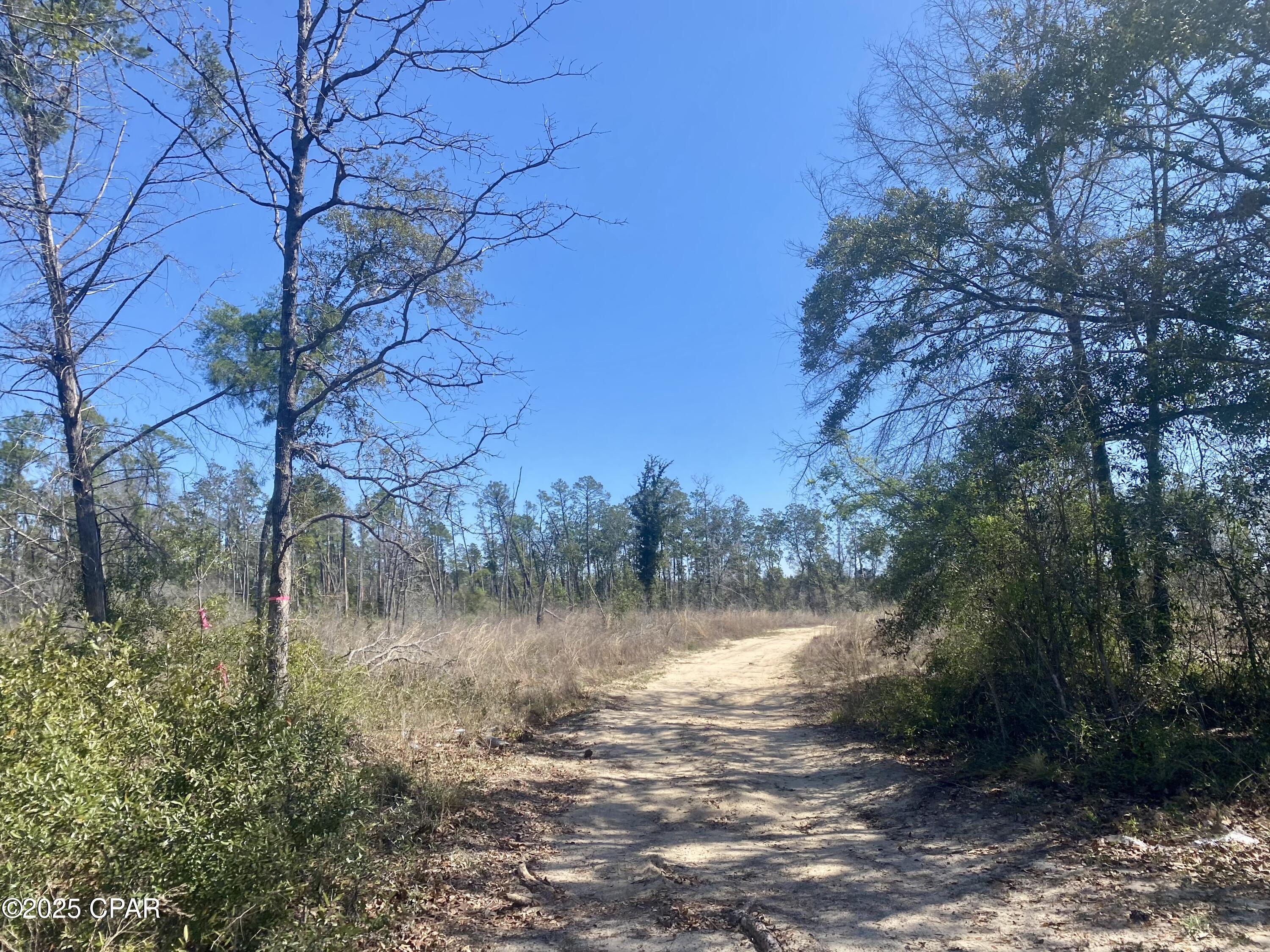 Details for 50 Acres Nw Sellers Road, Bristol, FL 32321
