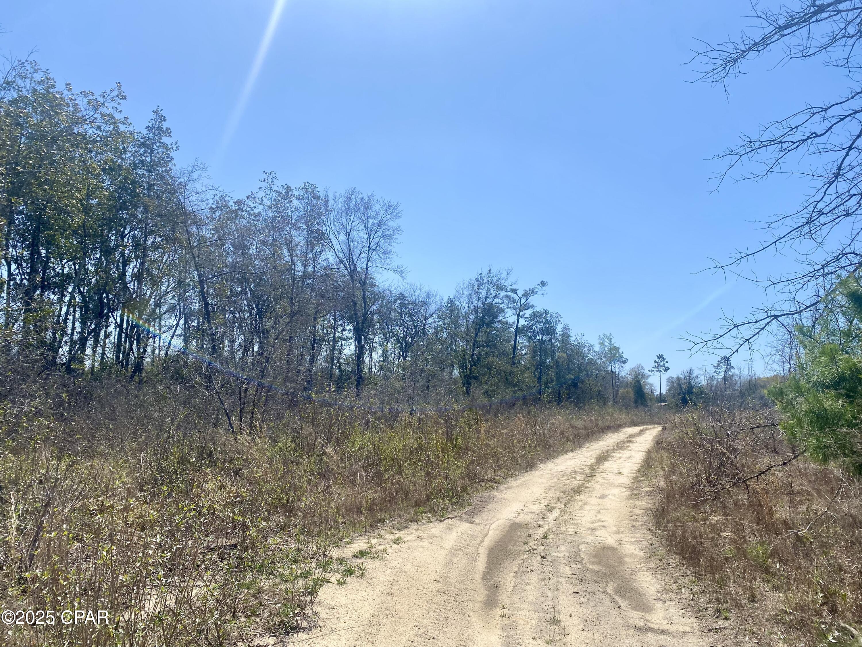 Image 3 For 50 Acres Nw Sellers Road