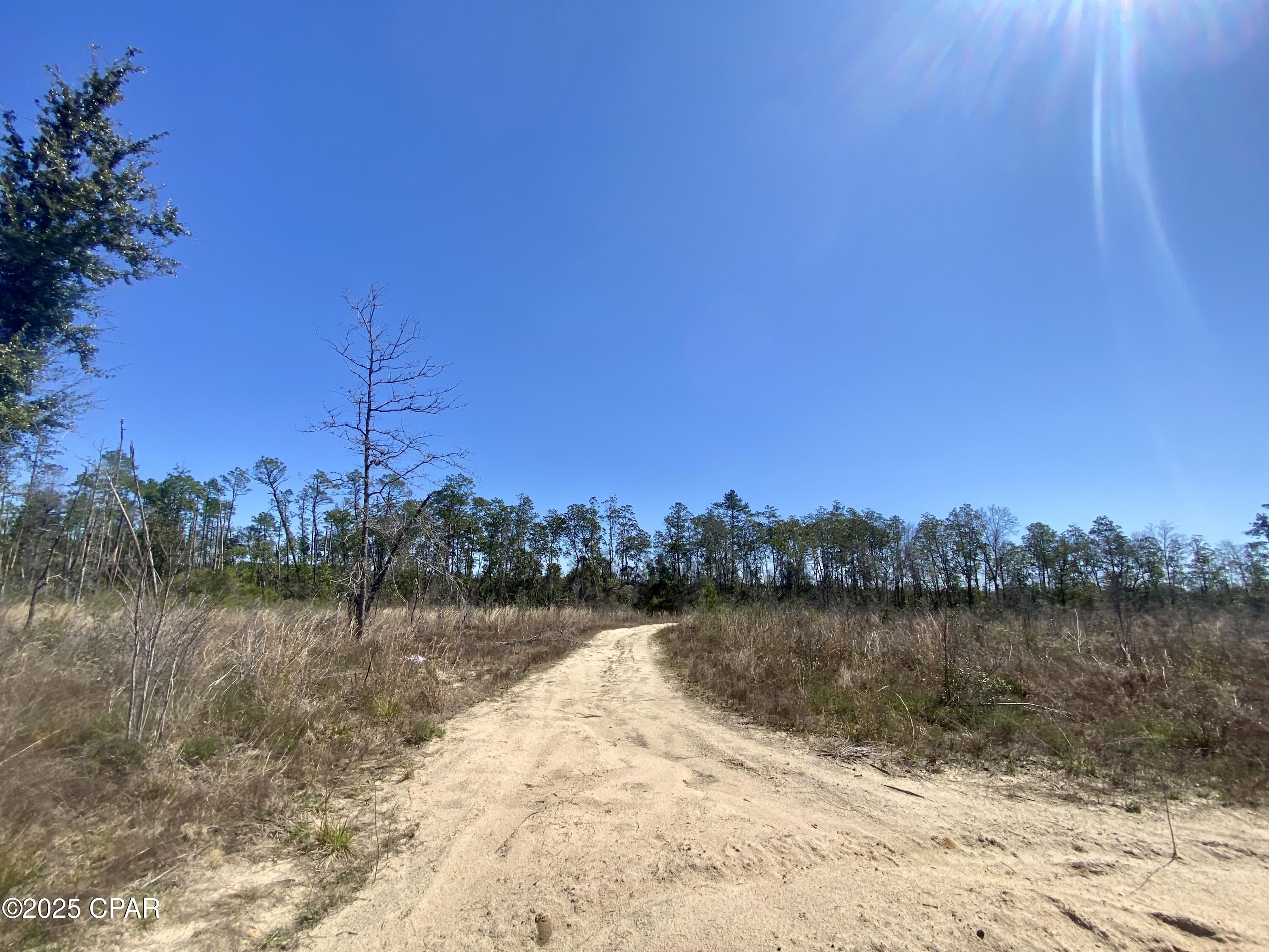 Image 6 For 50 Acres Nw Sellers Road