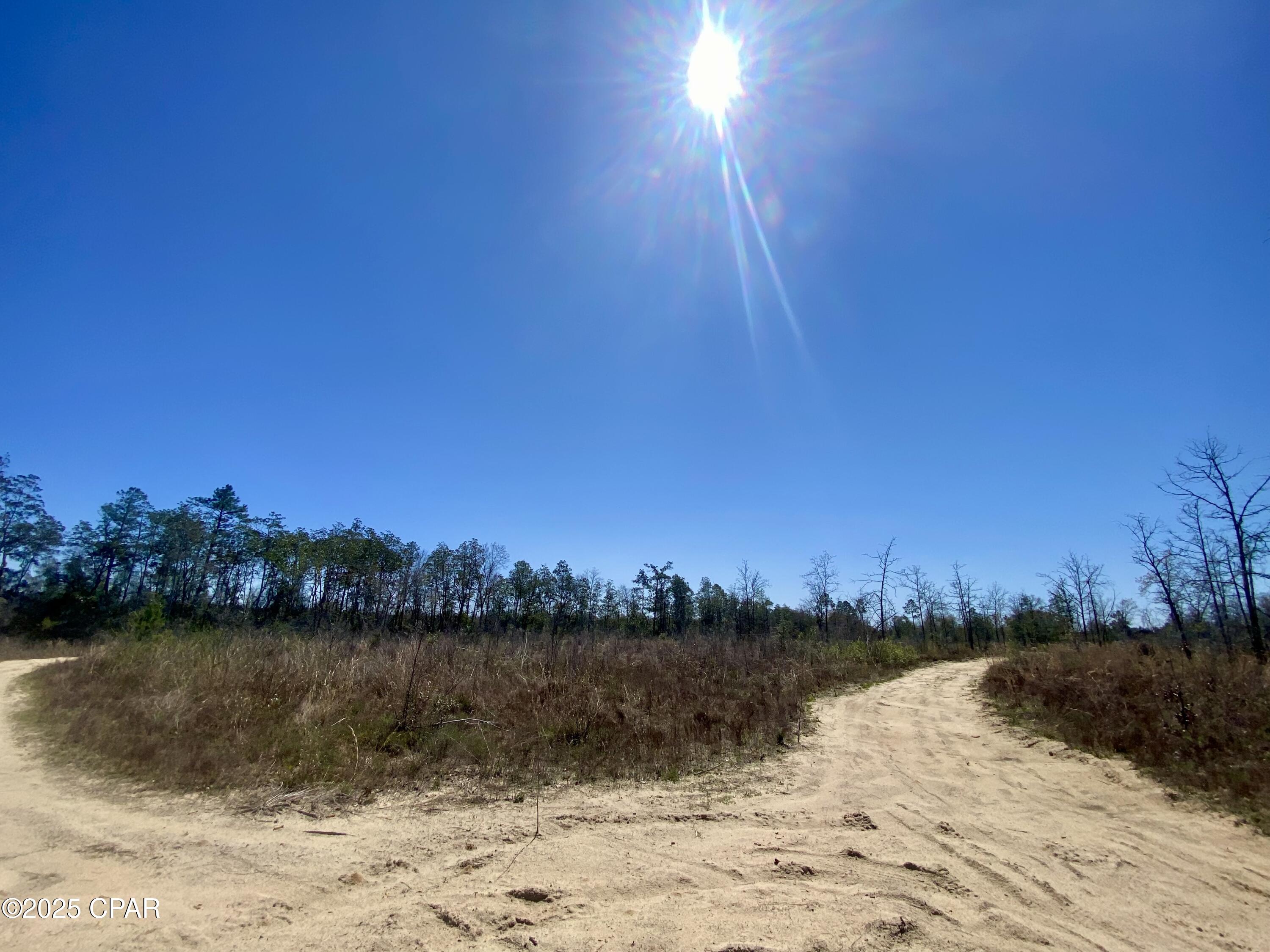 Image 7 For 50 Acres Nw Sellers Road