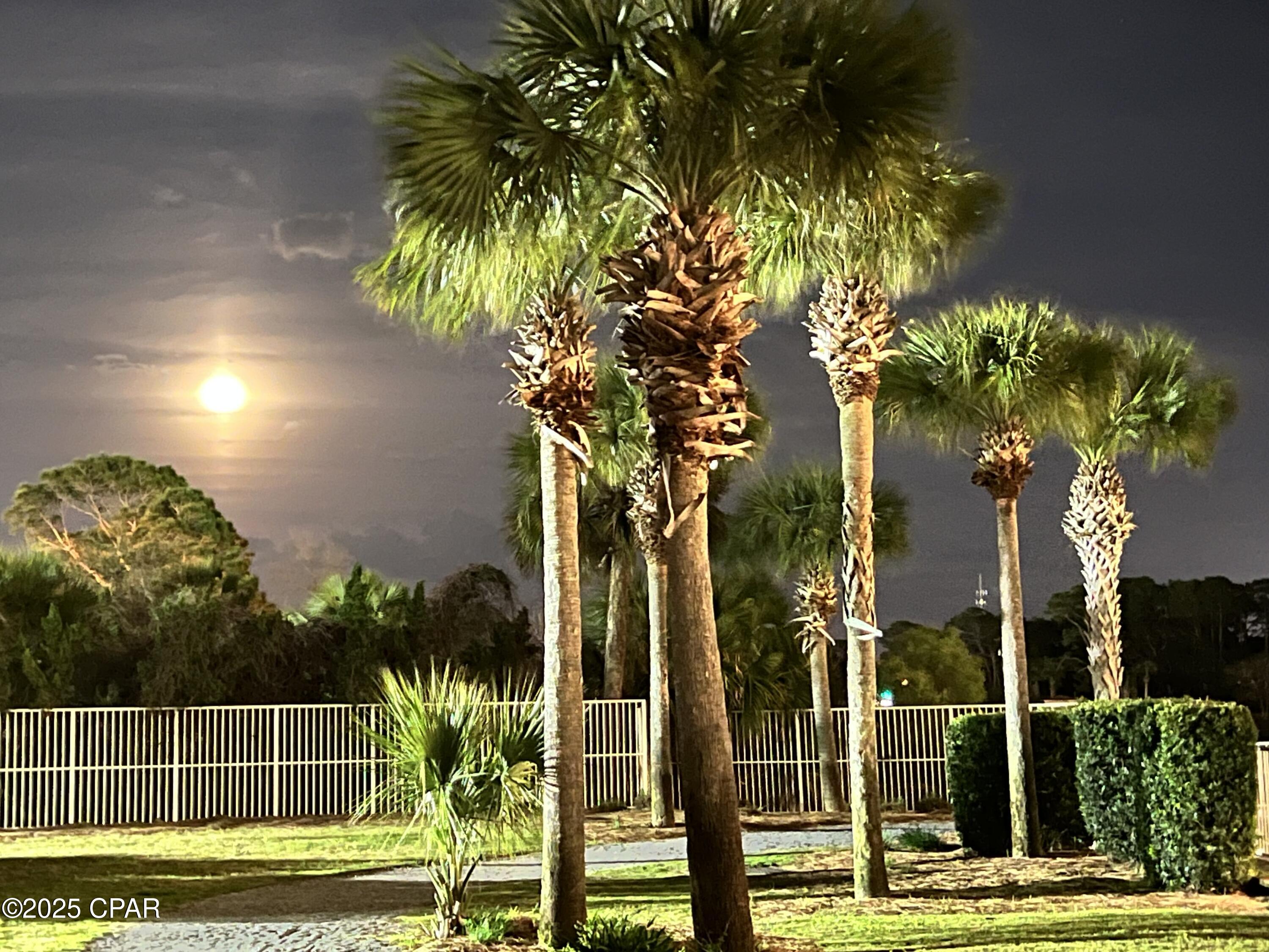 Image 45 For 9860 Thomas Drive 1026