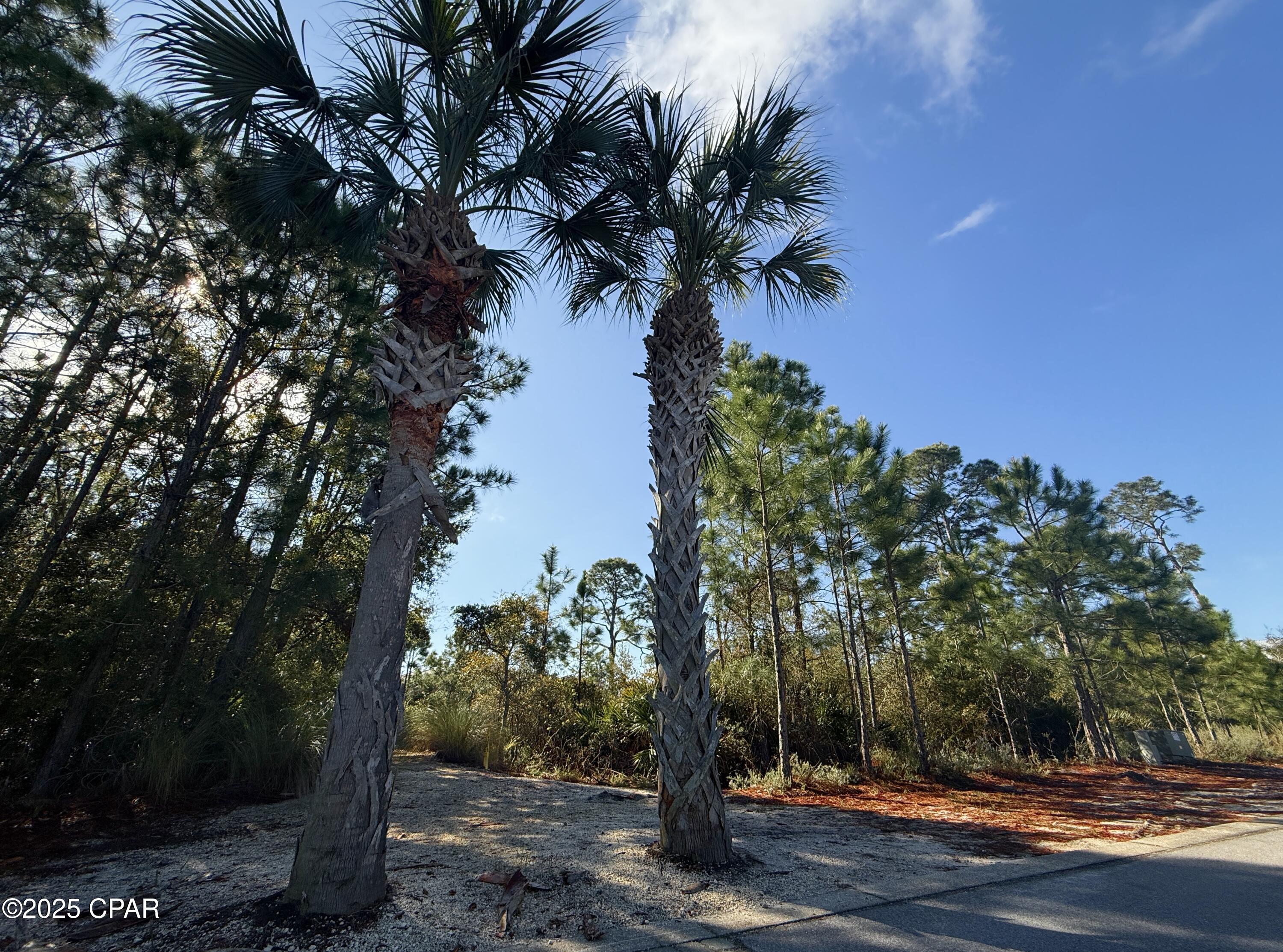 Image 4 For 5228 Kingston Circle