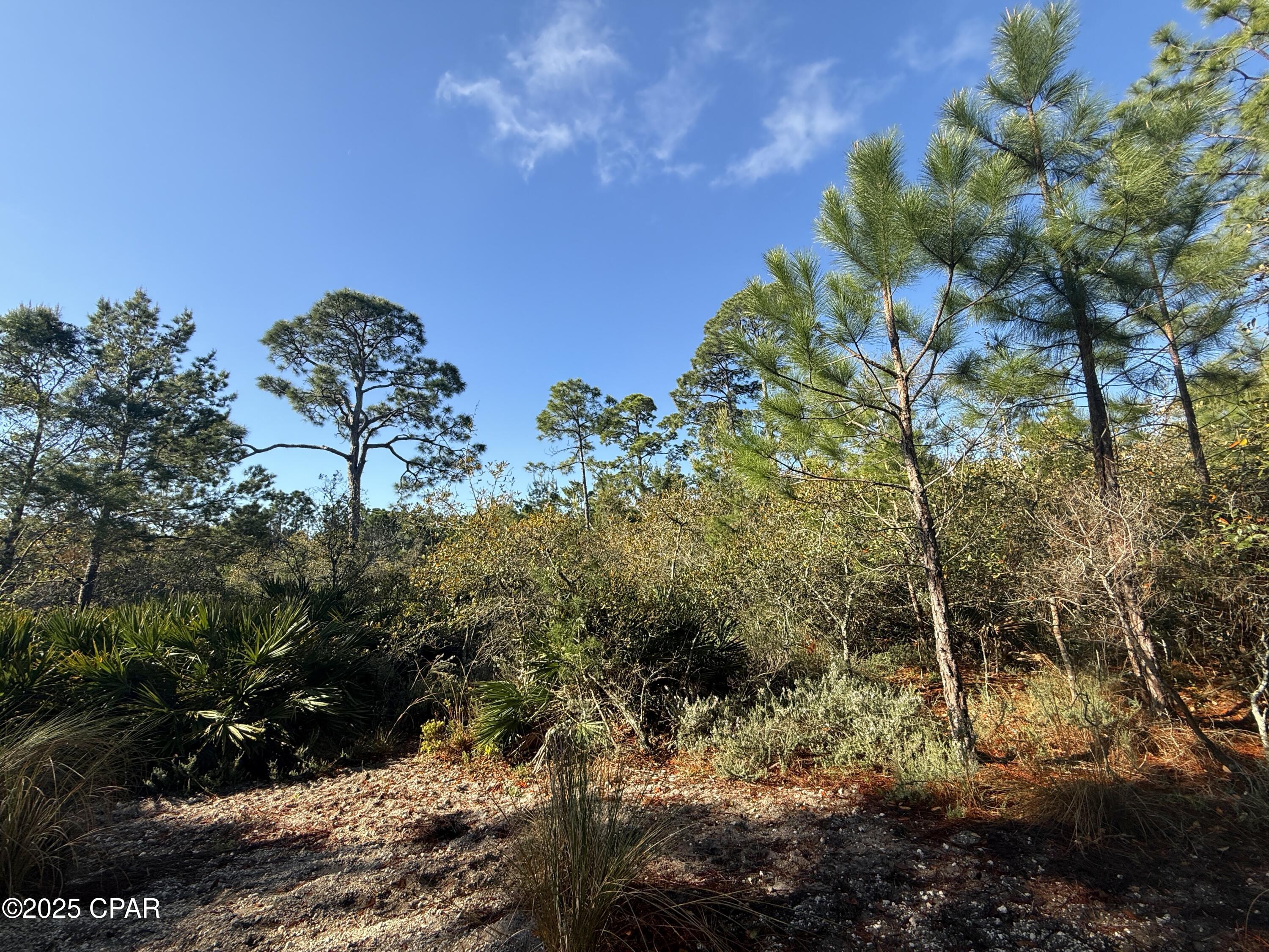 Image 9 For 5228 Kingston Circle