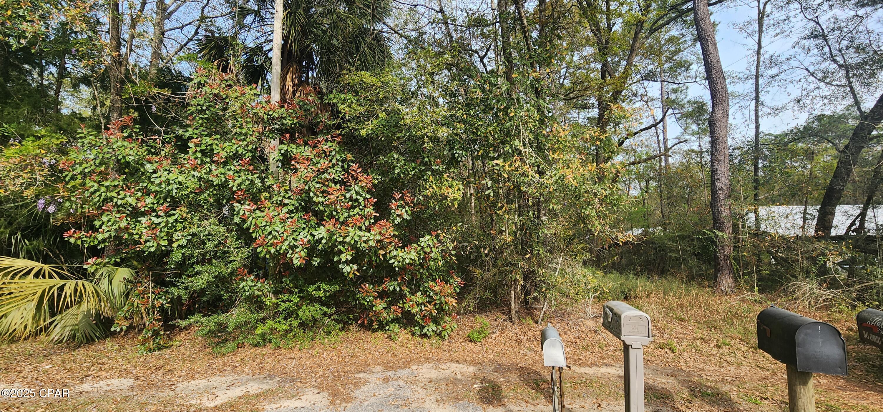 4th image of 0000 Country Club Dr, Bonifay, FL 32425 | MLS# 771112