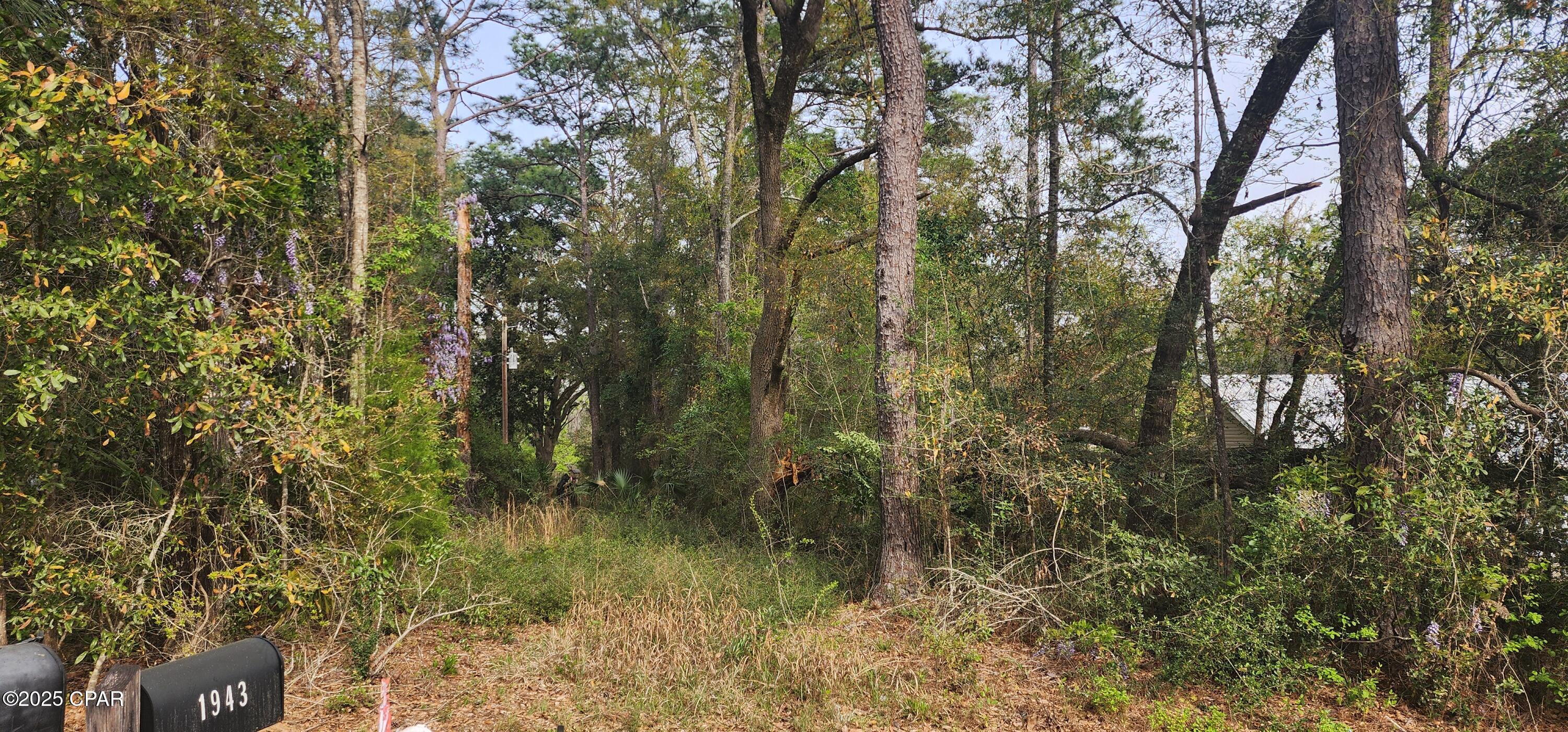 5th image of 0000 Country Club Dr, Bonifay, FL 32425 | MLS# 771112