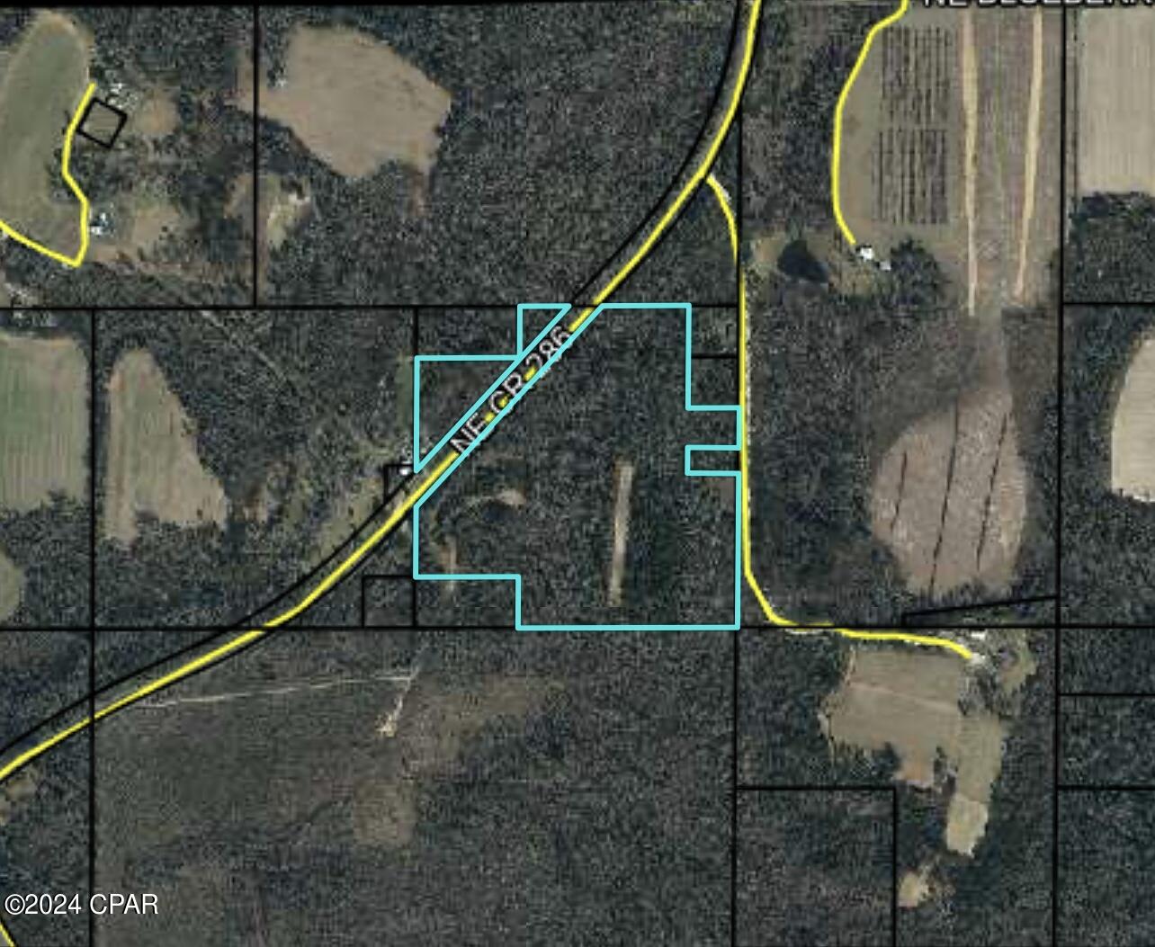 Homes for sale in Grand Ridge, FL | 286 Ne Cr, Grand Ridge, FL 32442 | MLS# 755692