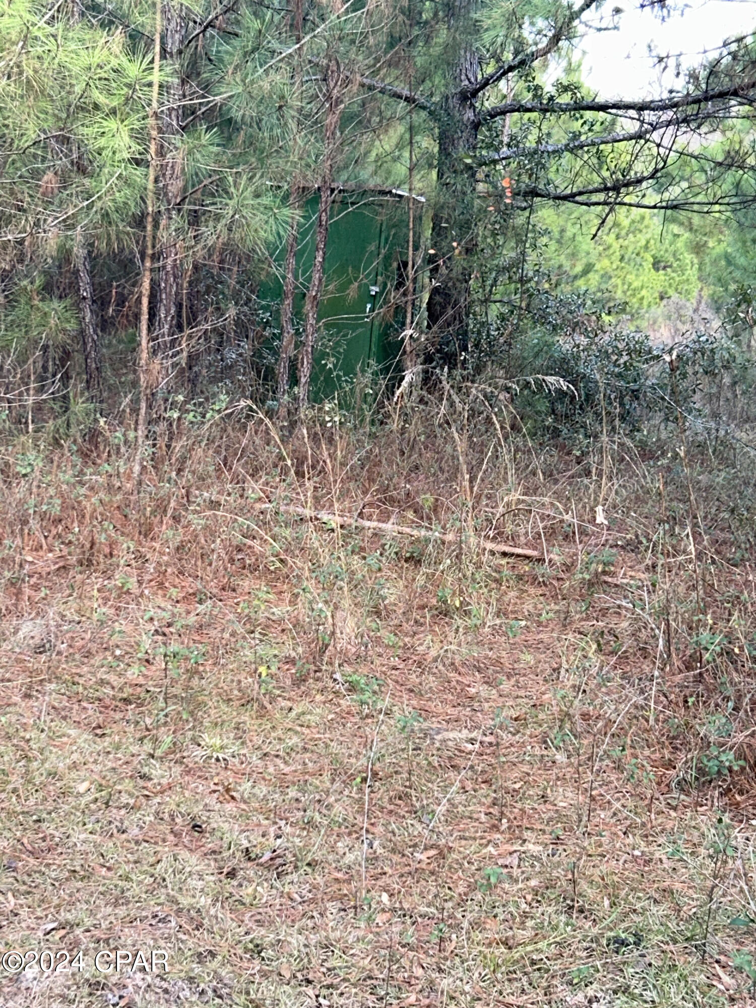 Homes for sale in Grand Ridge, FL | 286 Ne Cr, Grand Ridge, FL 32442 | MLS# 755692