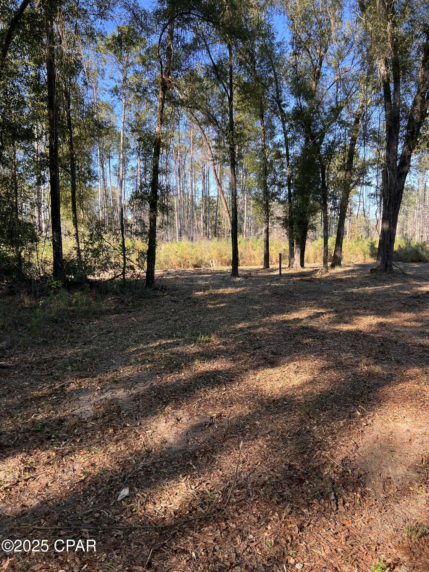 Image 10 For 2839 Highway 79