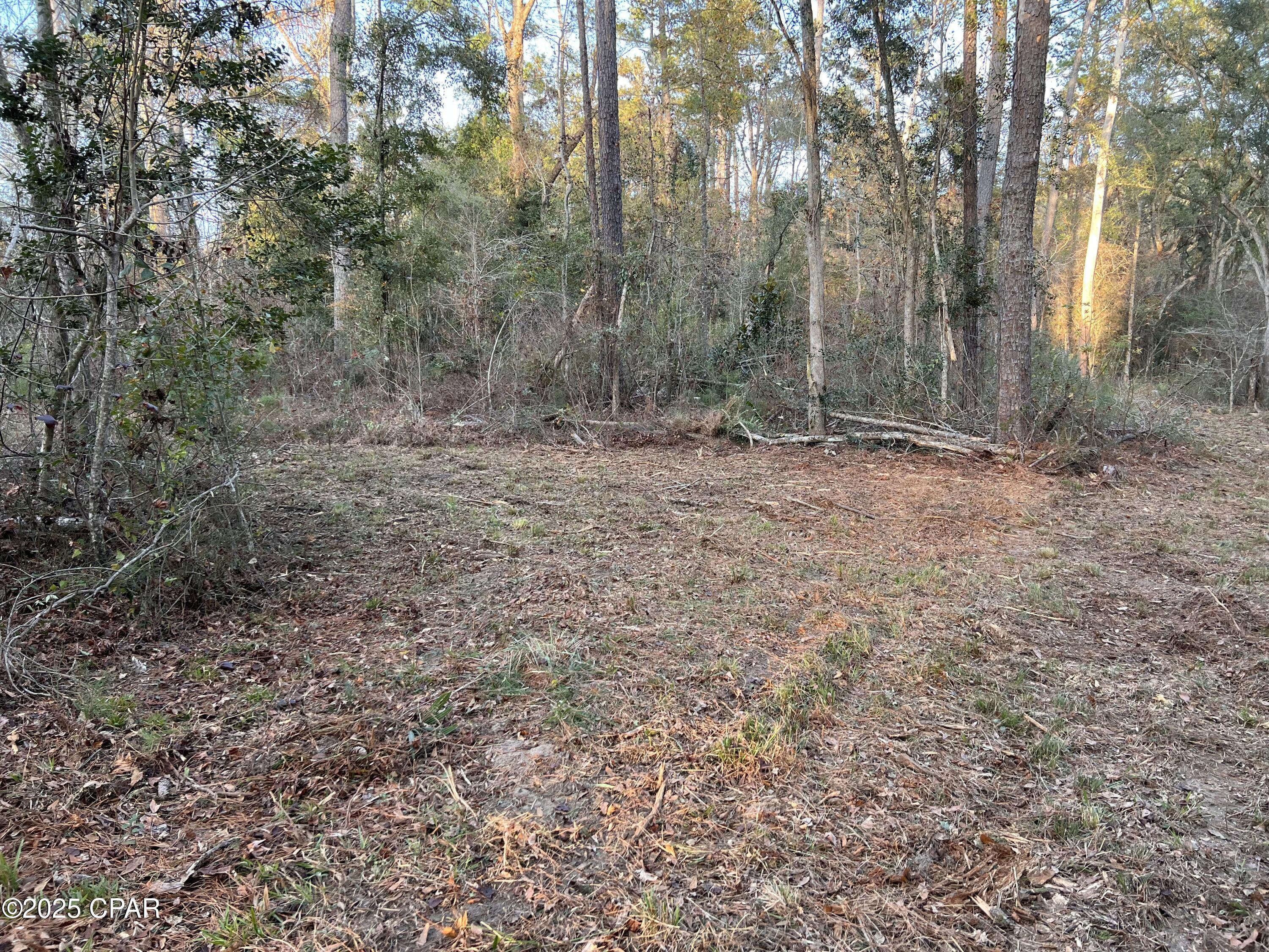 Image 13 For 2839 Highway 79