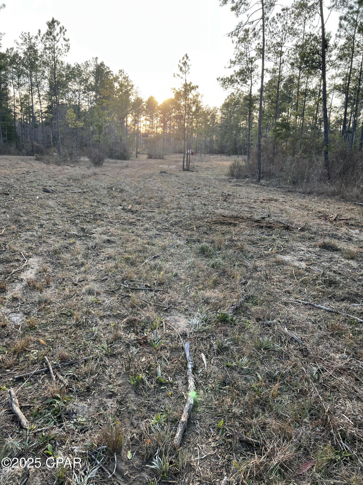 Image 15 For 2839 Highway 79