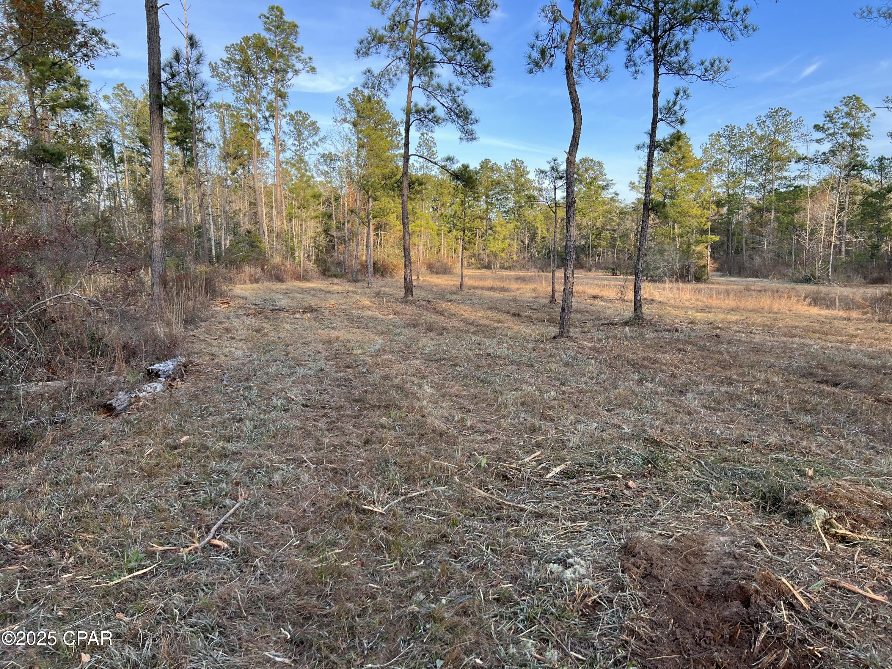 Image 16 For 2839 Highway 79