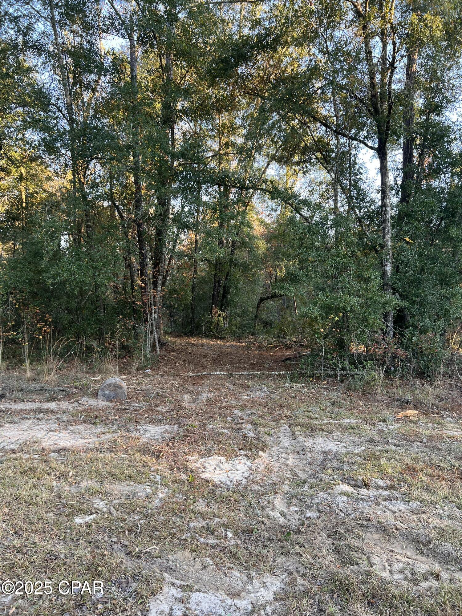 Image 18 For 2839 Highway 79