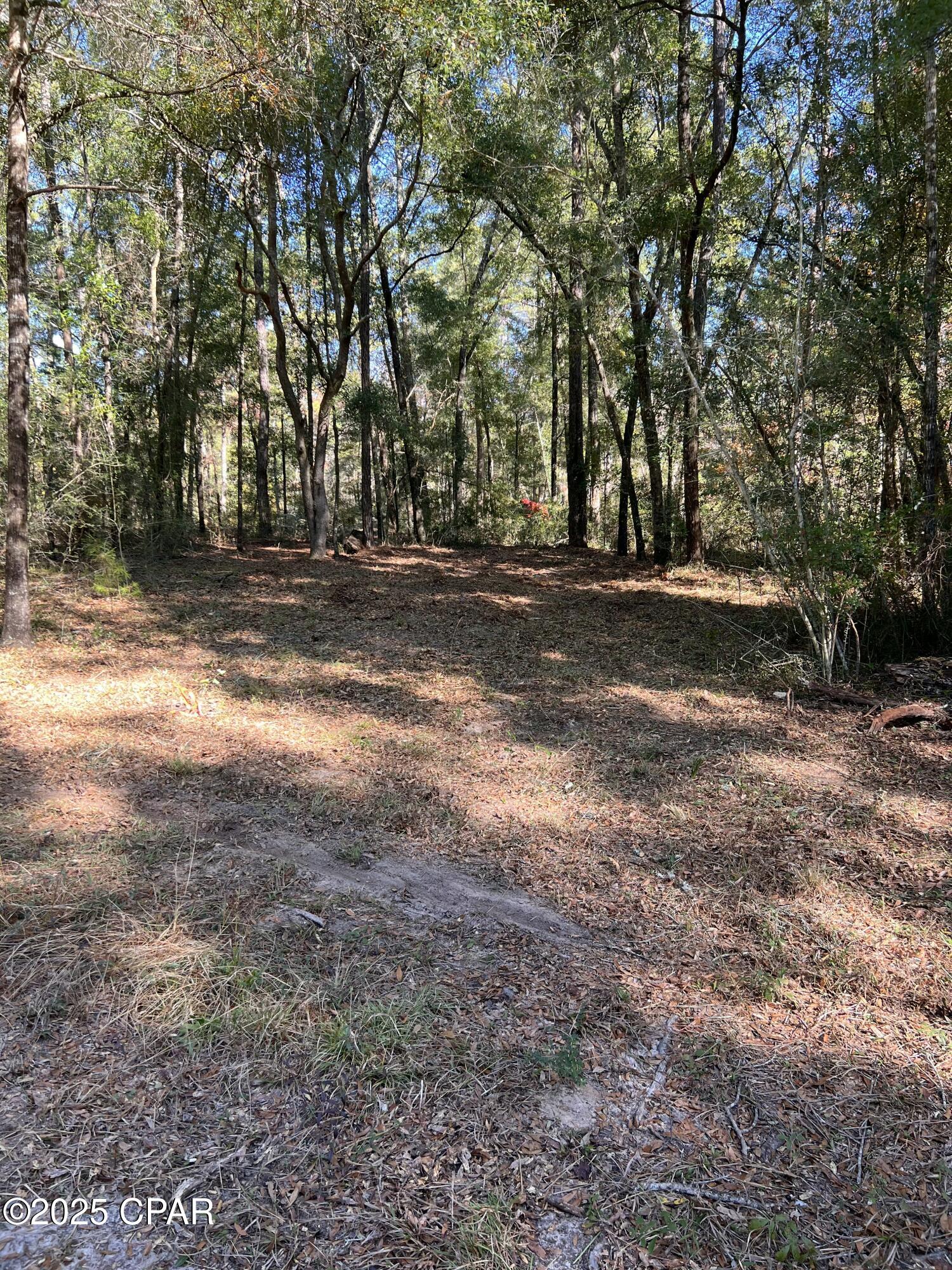 Image 19 For 2839 Highway 79