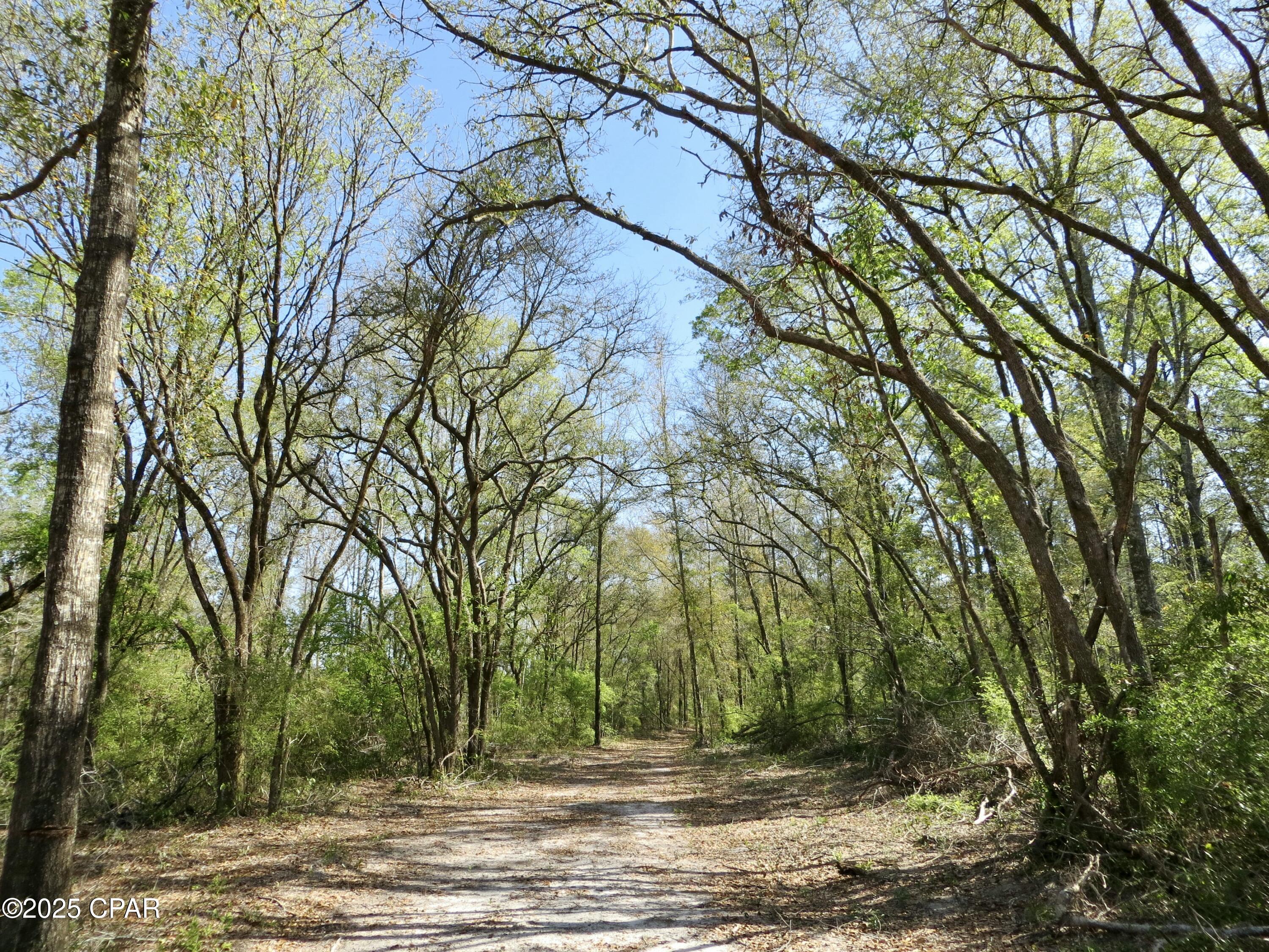 Image 4 For 2839 Highway 79