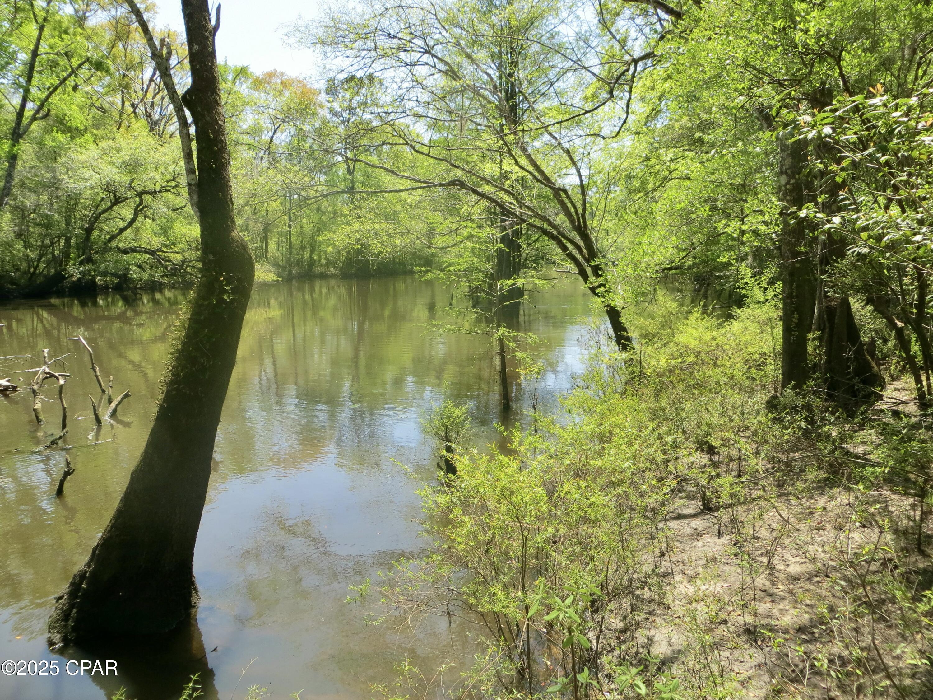 Image 5 For 2839 Highway 79